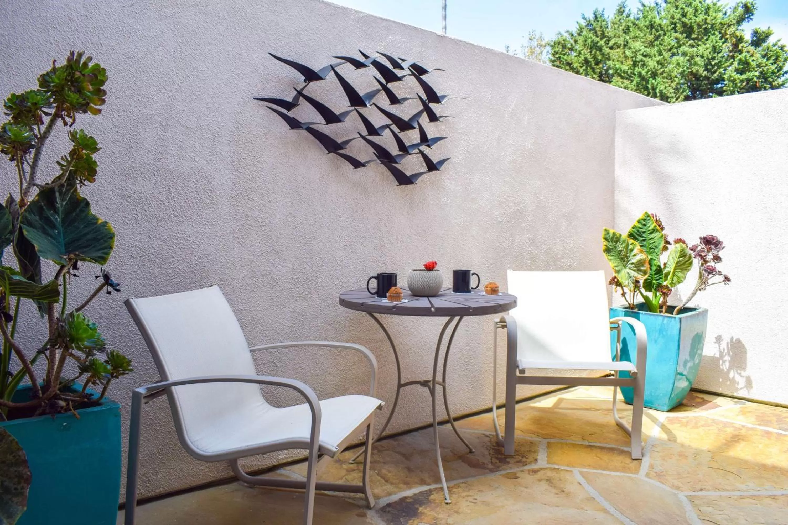 Photo of the whole room in Beachside Inn