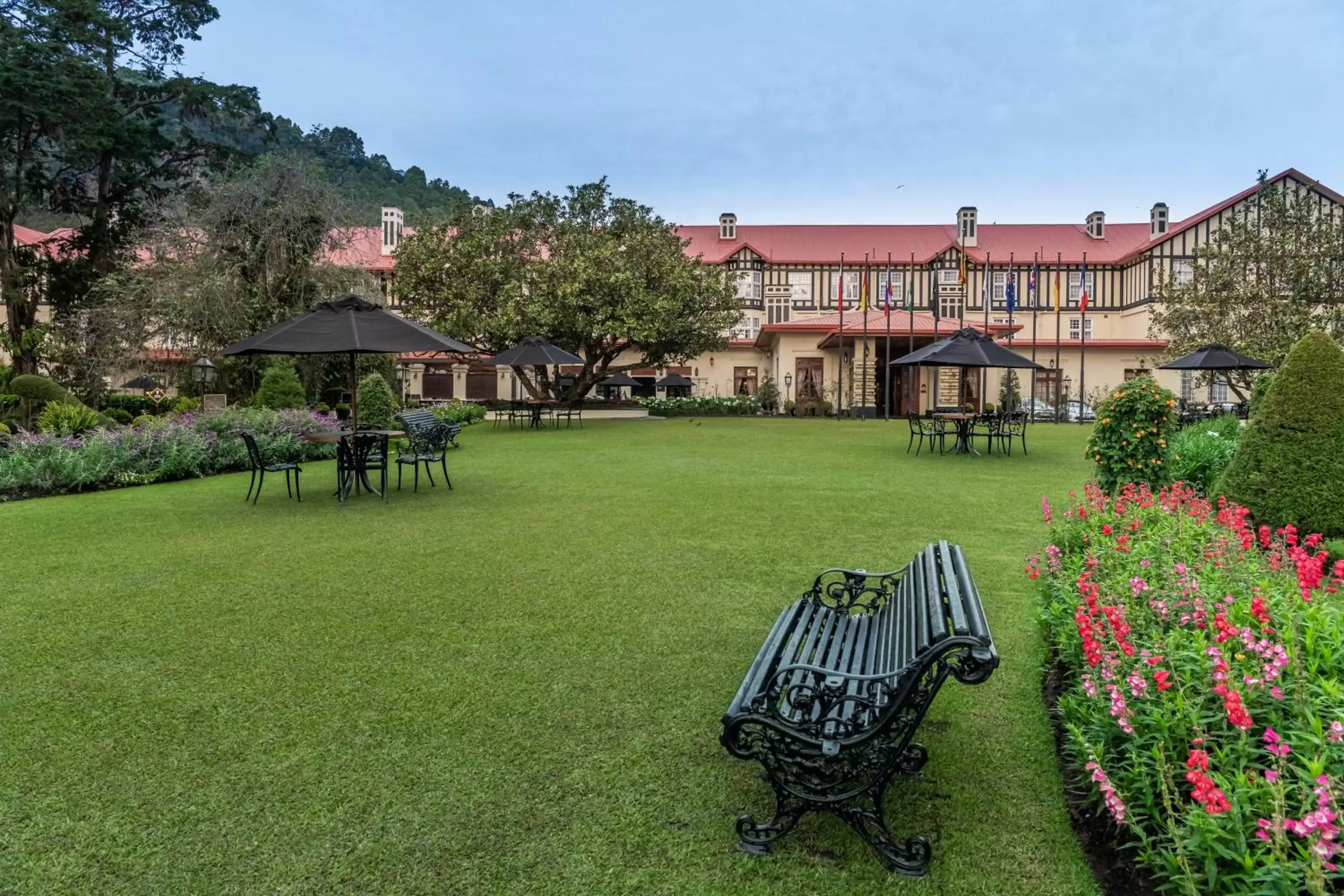 Natural landscape, Garden in The Grand Hotel - Heritage Grand