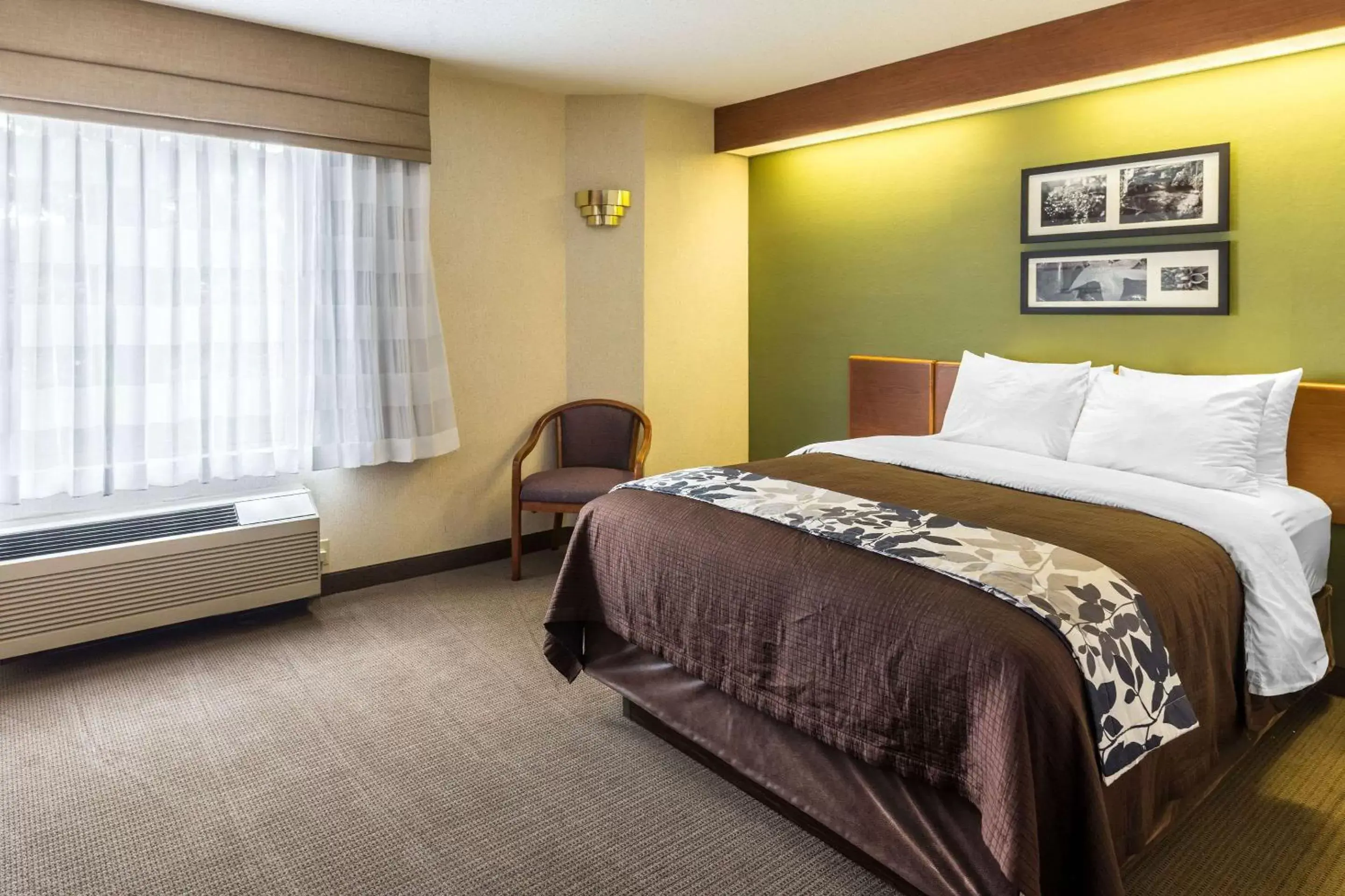 Photo of the whole room, Bed in Sleep Inn & Suites Acme – Traverse City