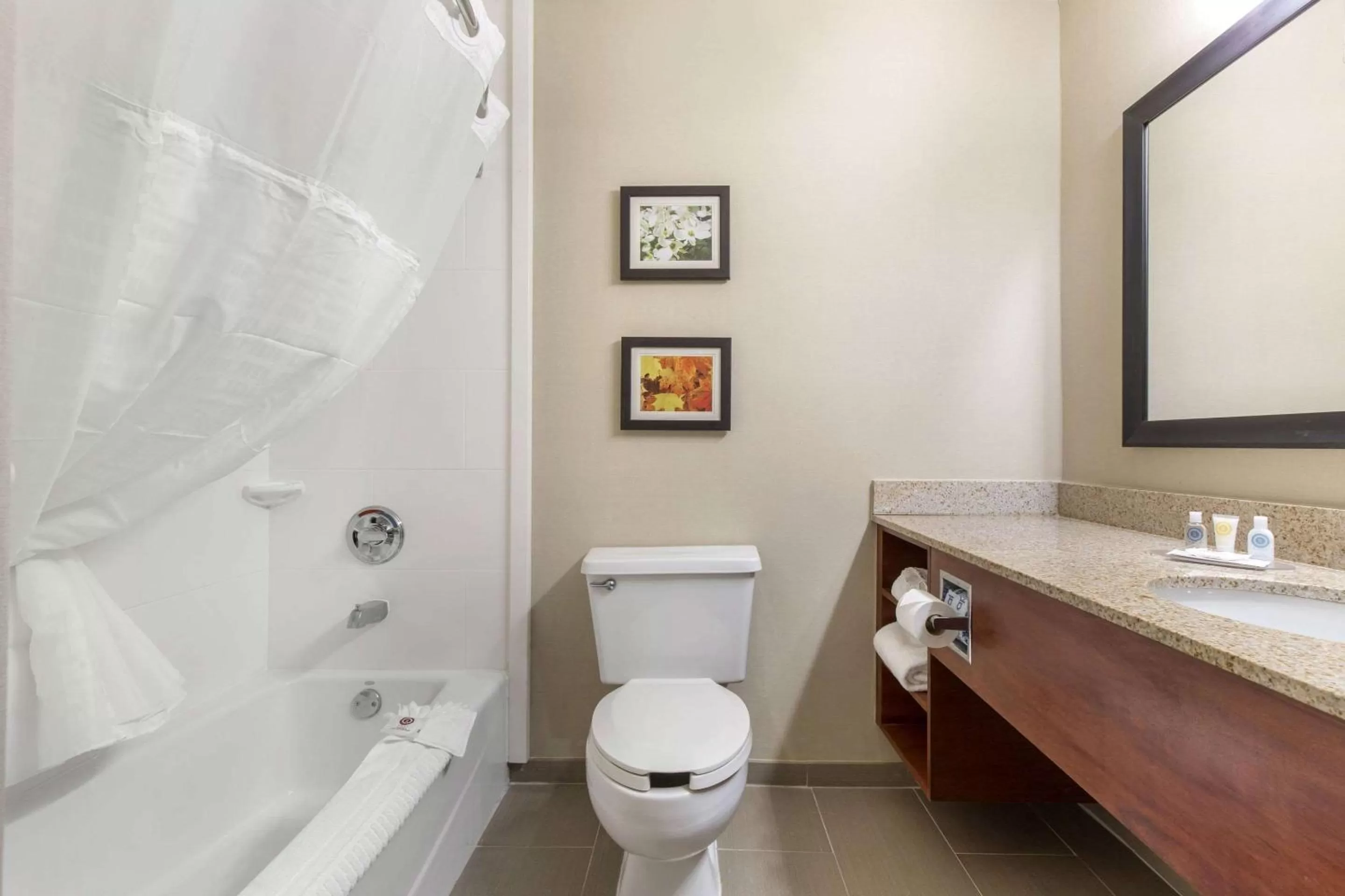 Bathroom in Comfort Inn Shelby