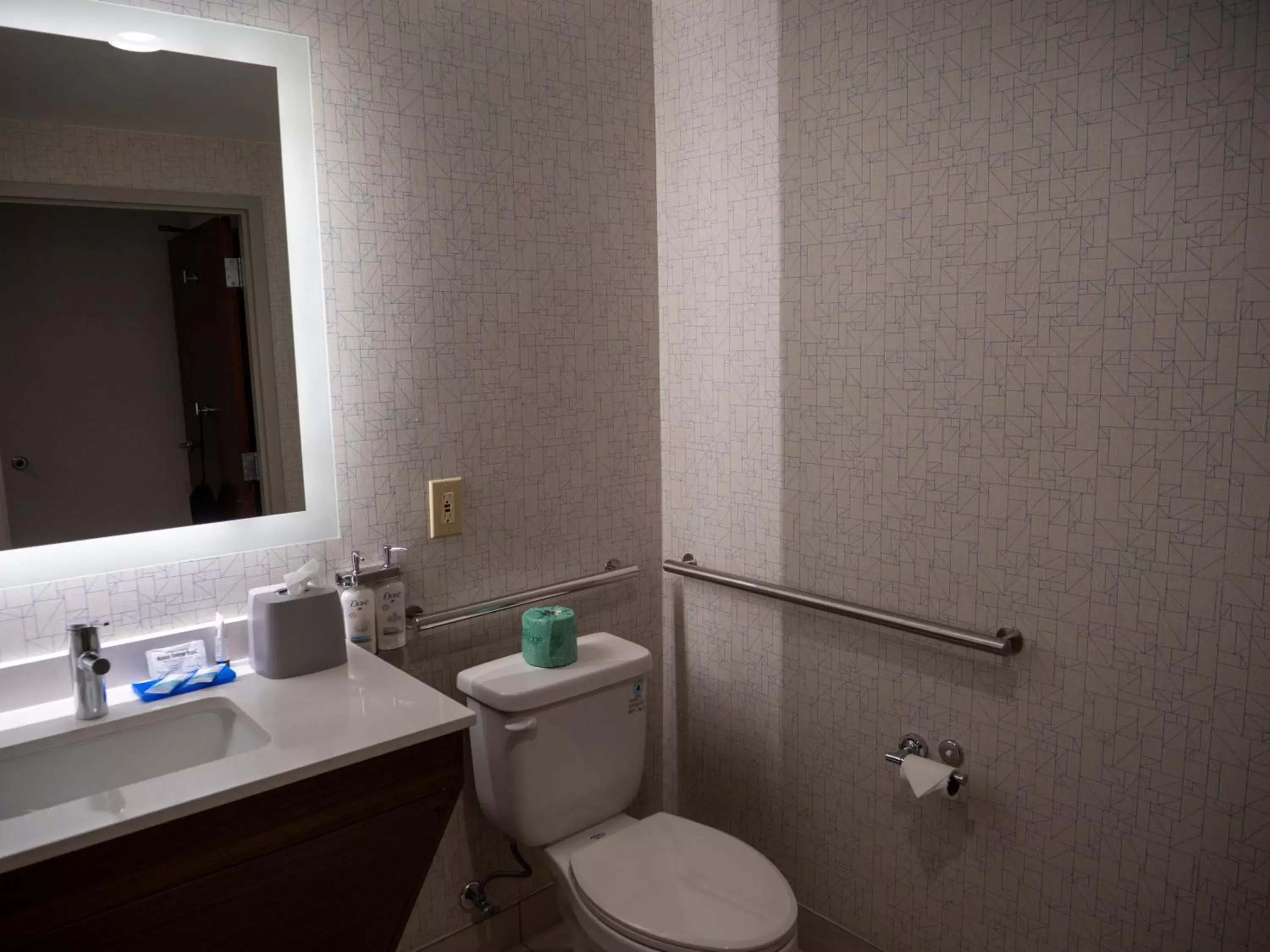 Bathroom in Holiday Inn Express & Suites Greenville Airport, an IHG Hotel