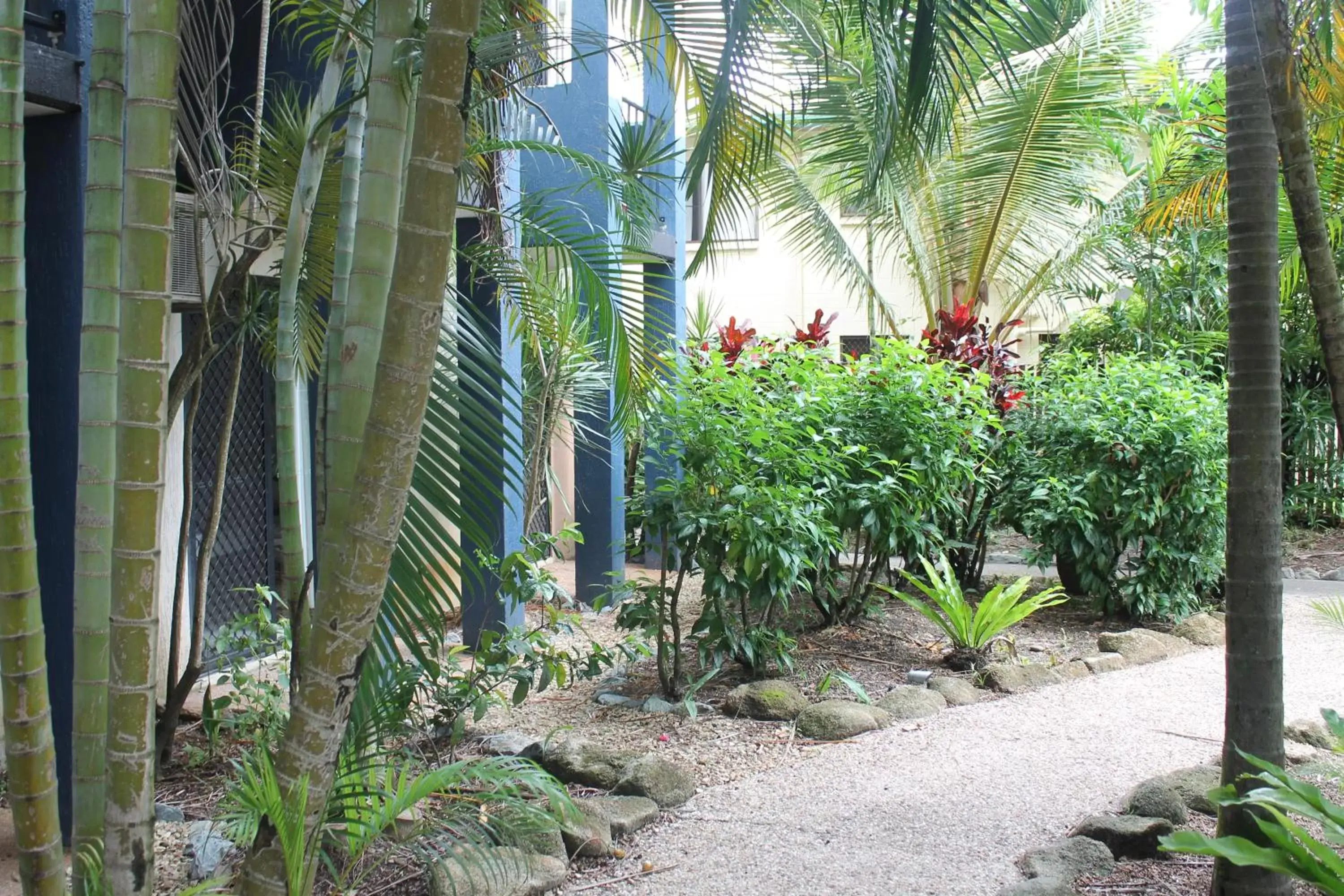 Natural landscape in Bohemia Resort Cairns