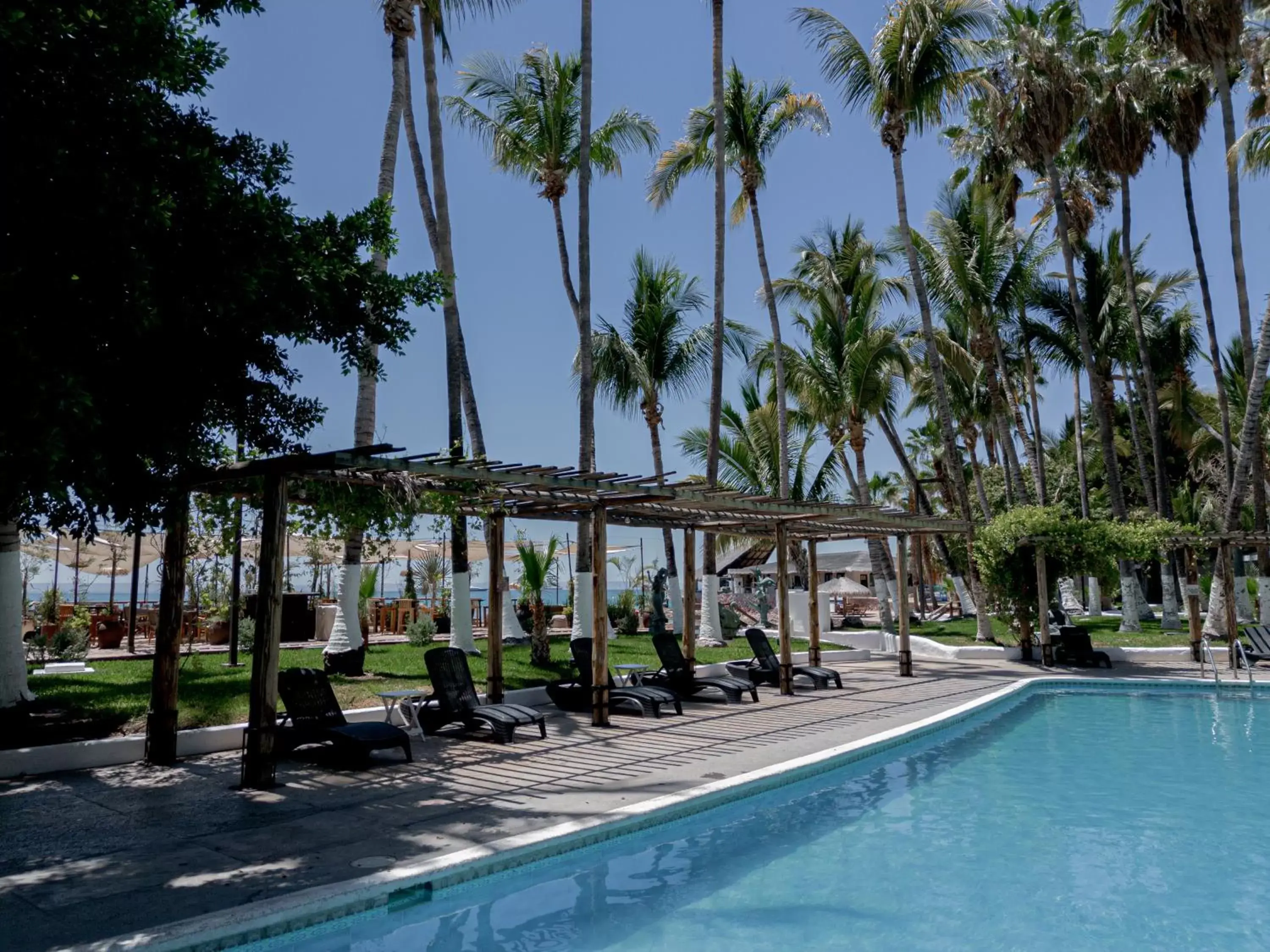 Swimming Pool in La Concha Beach Hotel & Club