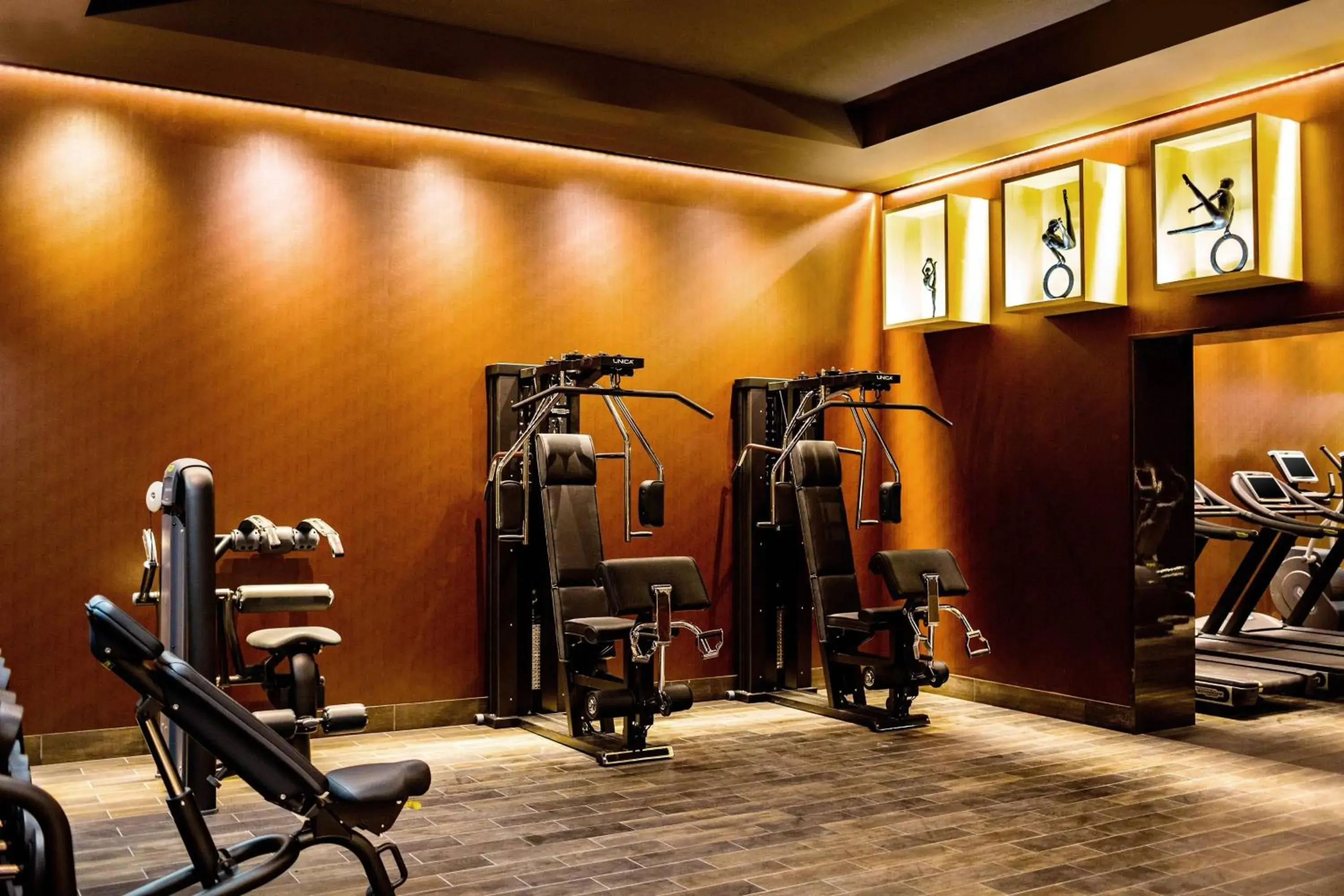 Fitness centre/facilities, Fitness Center/Facilities in Prince de Galles, a Luxury Collection hotel, Paris
