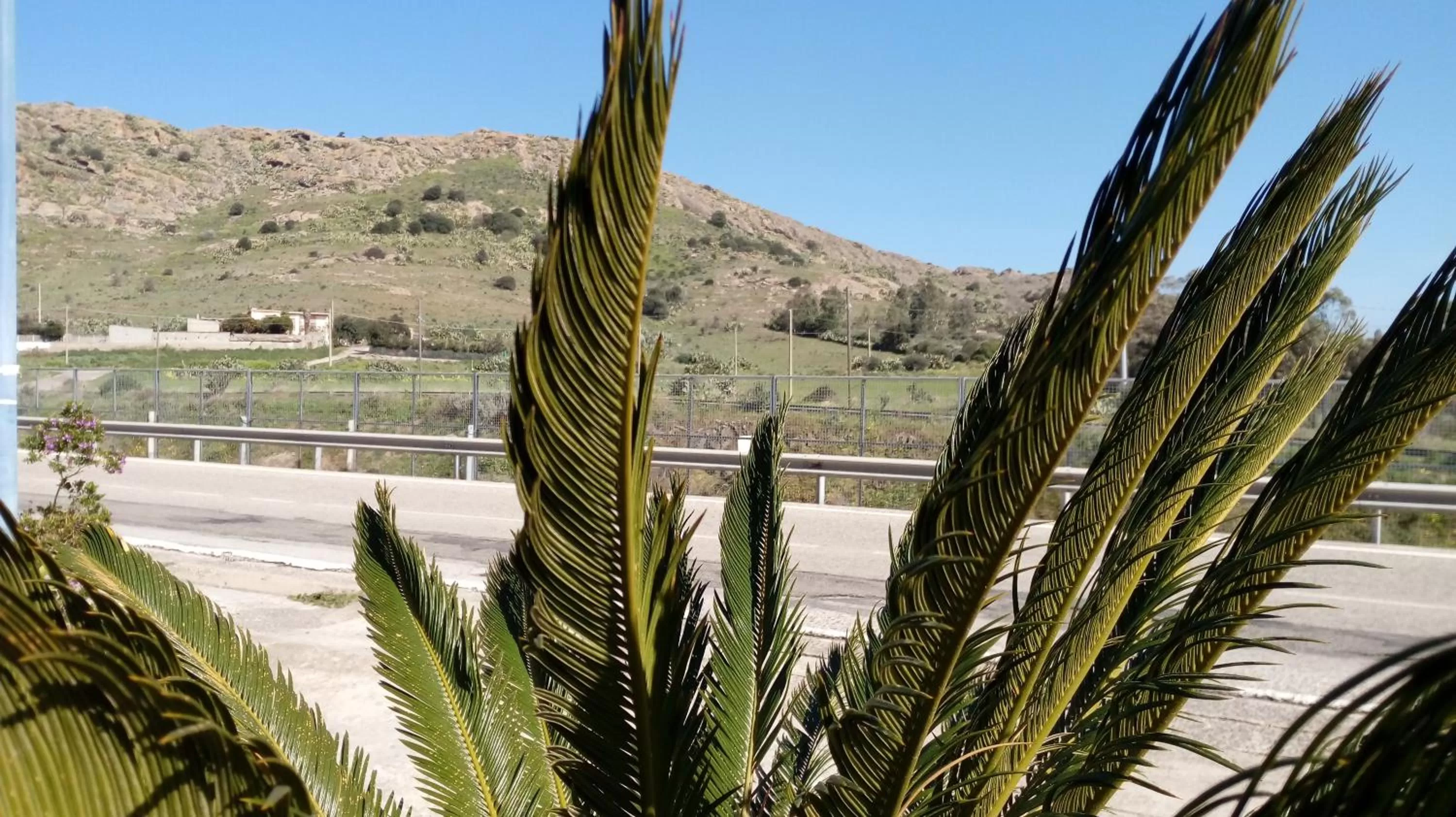 Natural landscape in Hotel Palladium