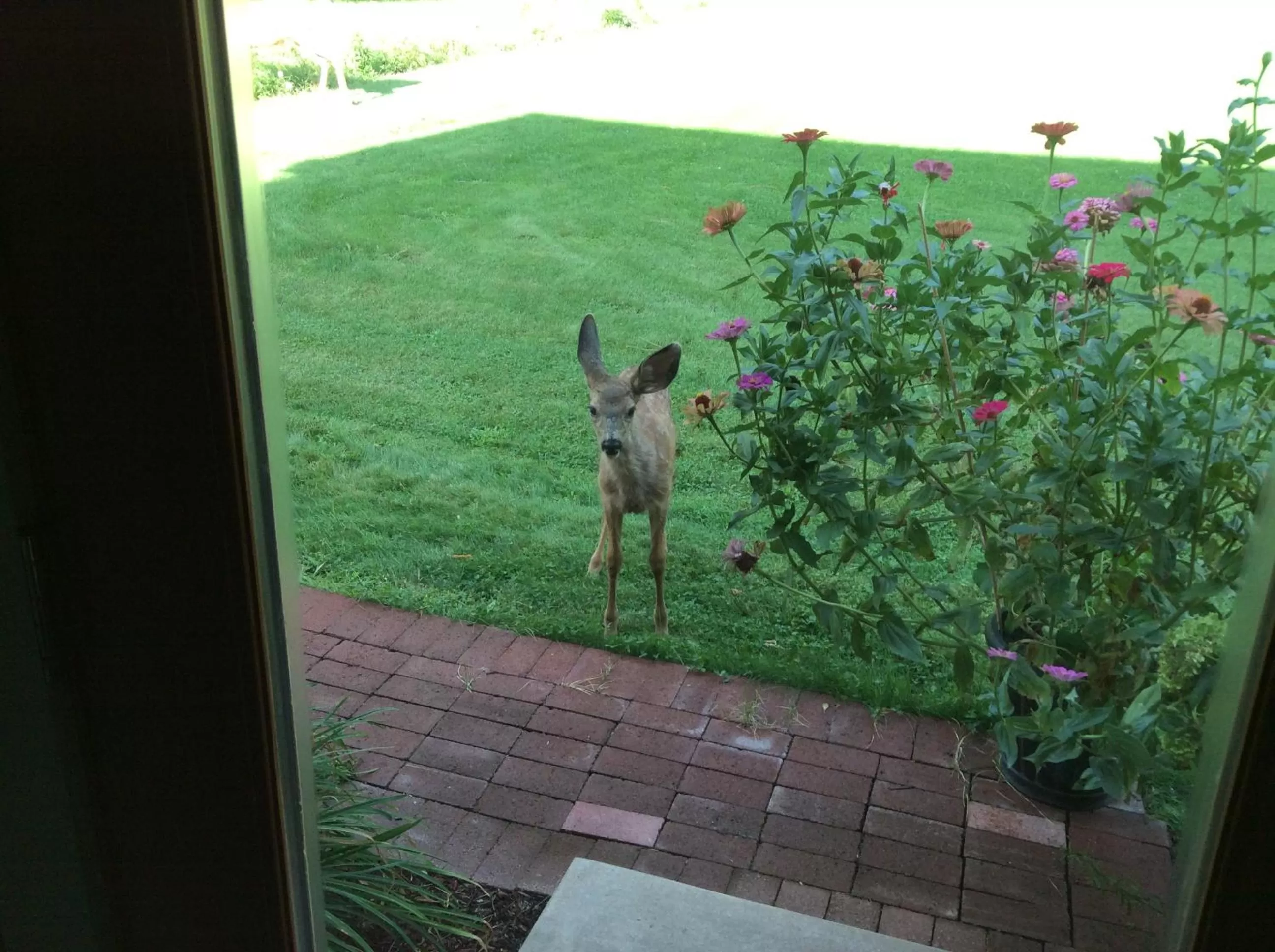 Spring, Guests in Granite Hills Inn