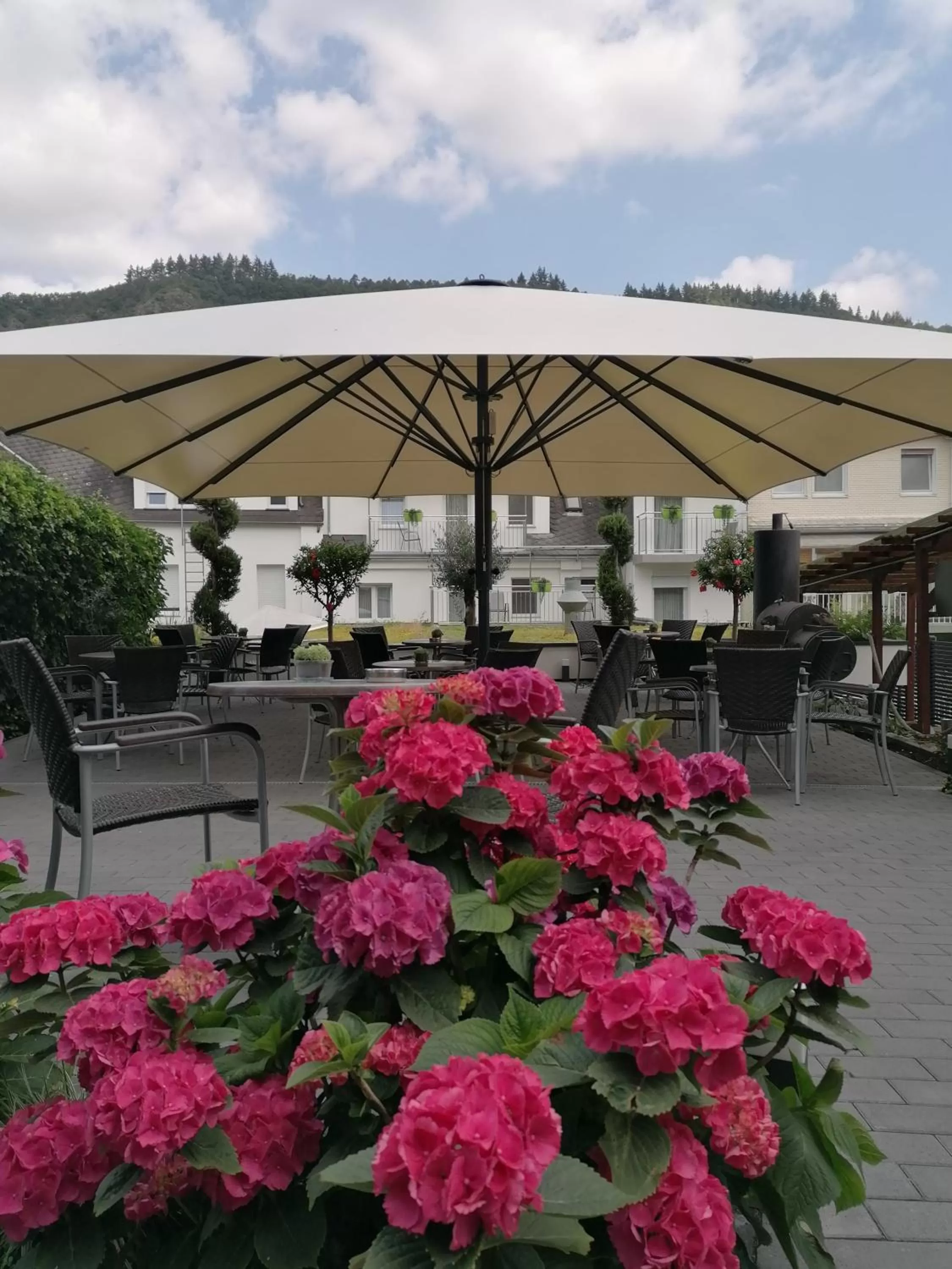 Garden in Moselromantik Hotel Am Panoramabogen