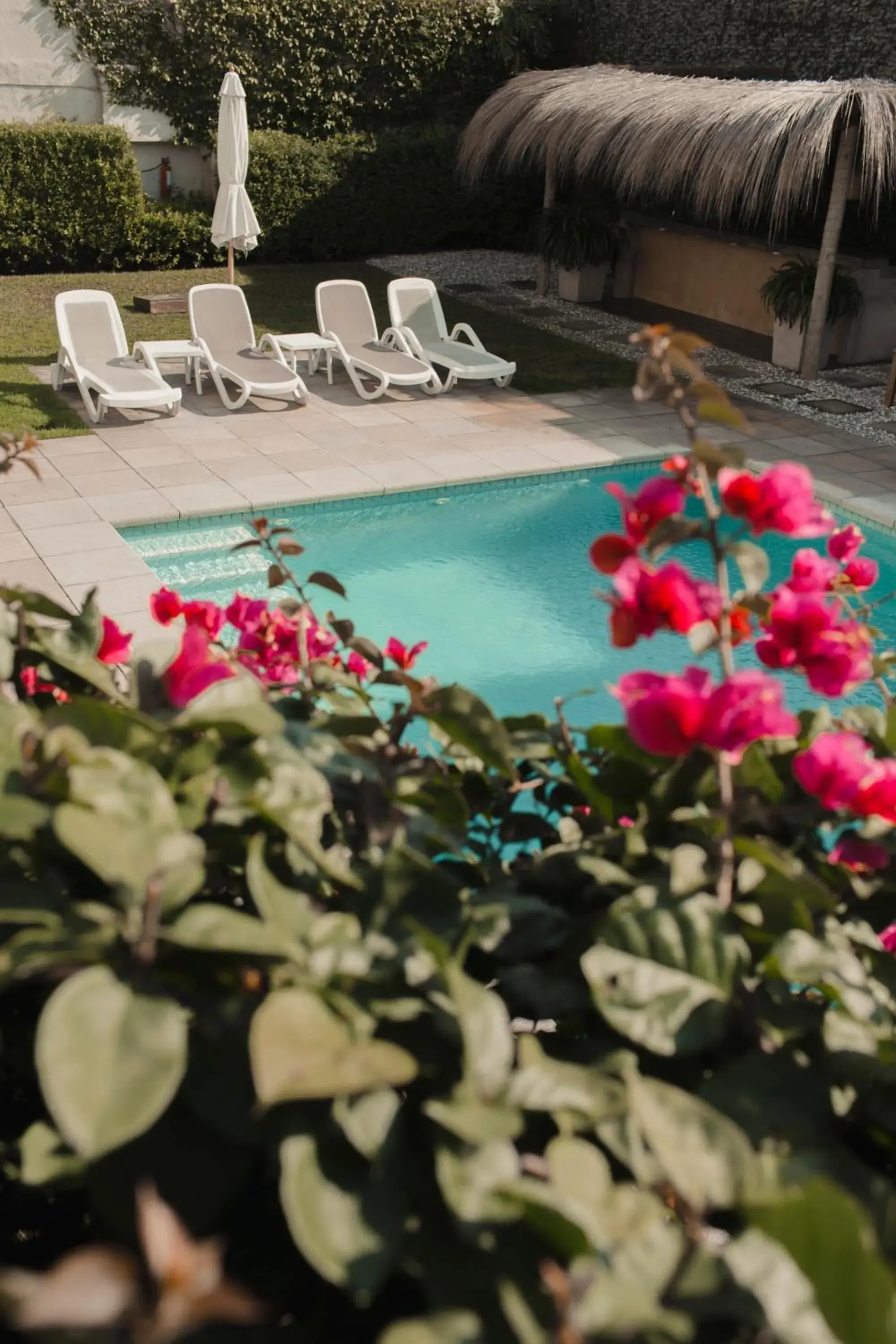 Garden, Swimming Pool in Atlantico Boutique Hotel