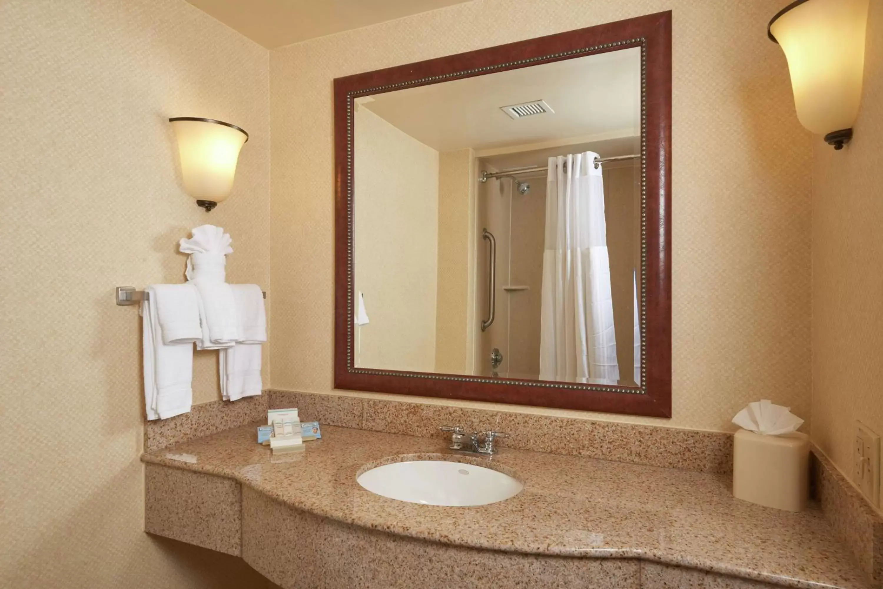 Bathroom in Hilton Garden Inn Newport News