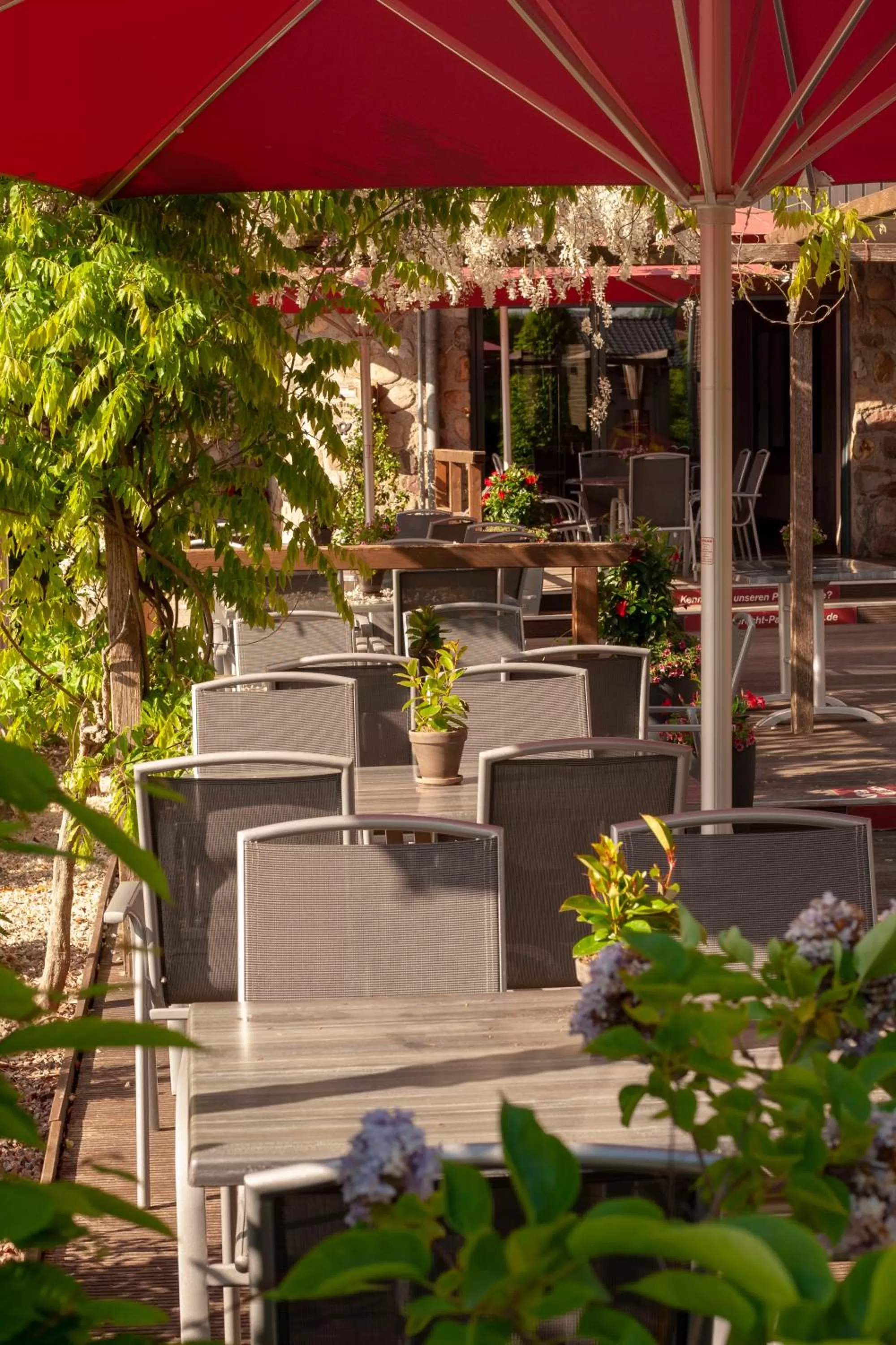 Balcony/Terrace in Schlüter Hotel & Restaurant