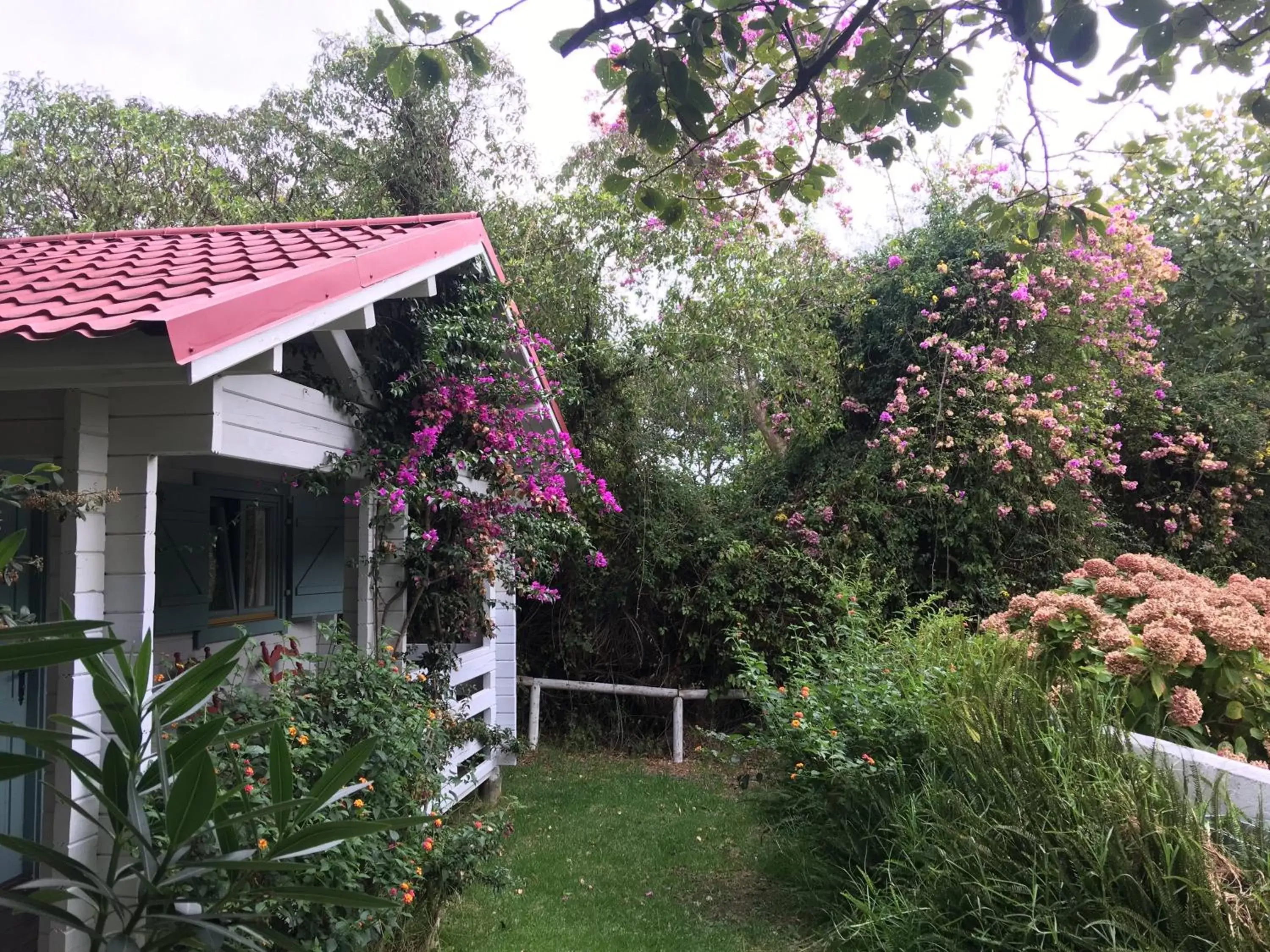 Property Building in Mesón de Sancho