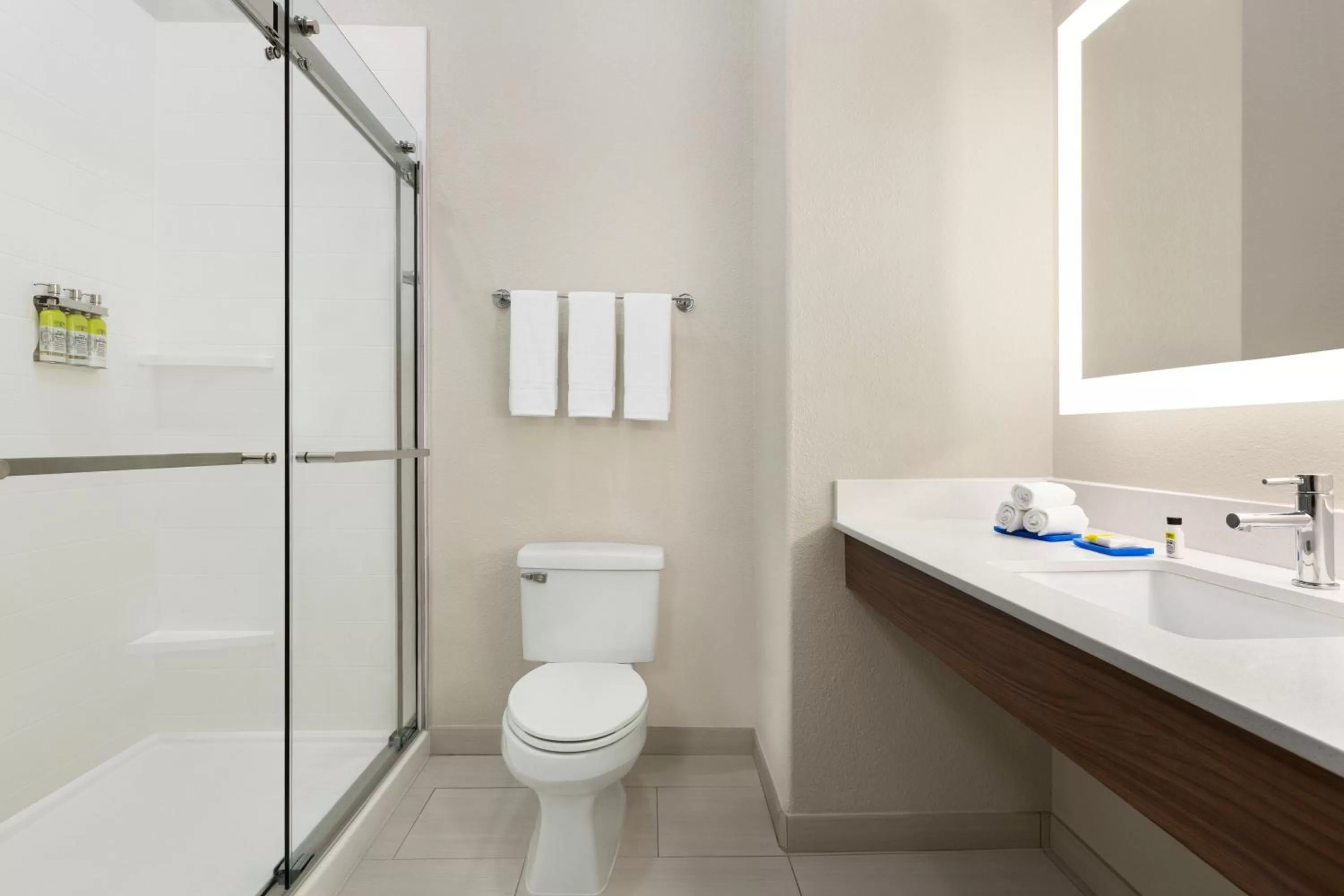 Bathroom in Holiday Inn Express Hotel & Suites Mission-McAllen Area, an IHG Hotel