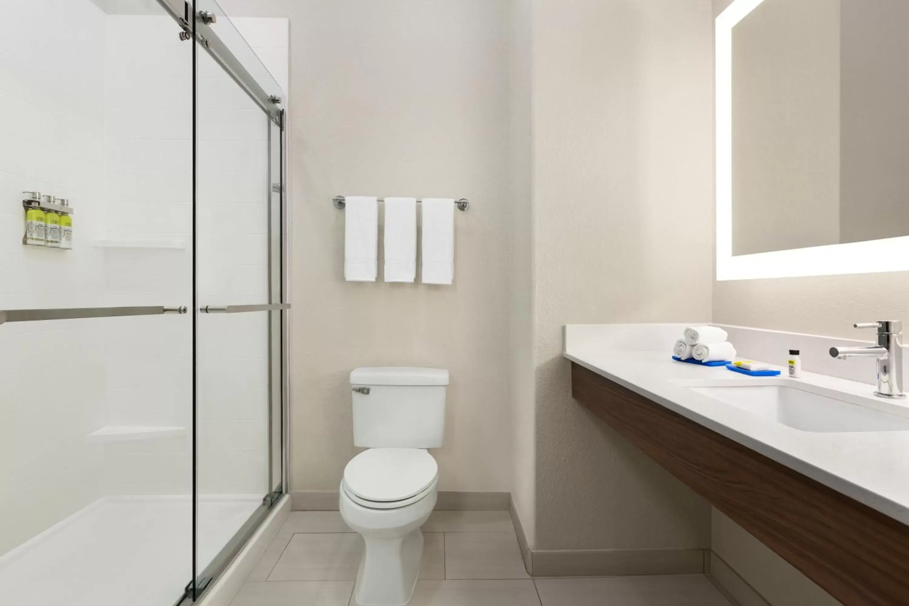Bathroom in Holiday Inn Express Hotel & Suites Mission-McAllen Area, an IHG Hotel