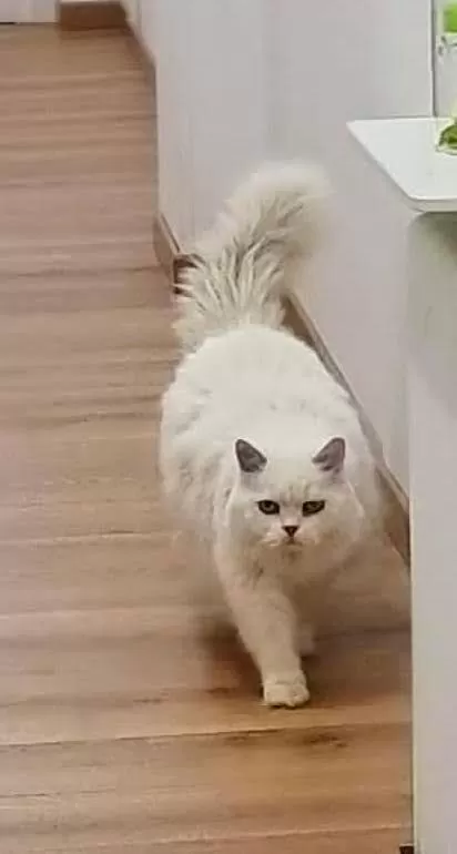 Communal lounge/ TV room in B&B Be Home