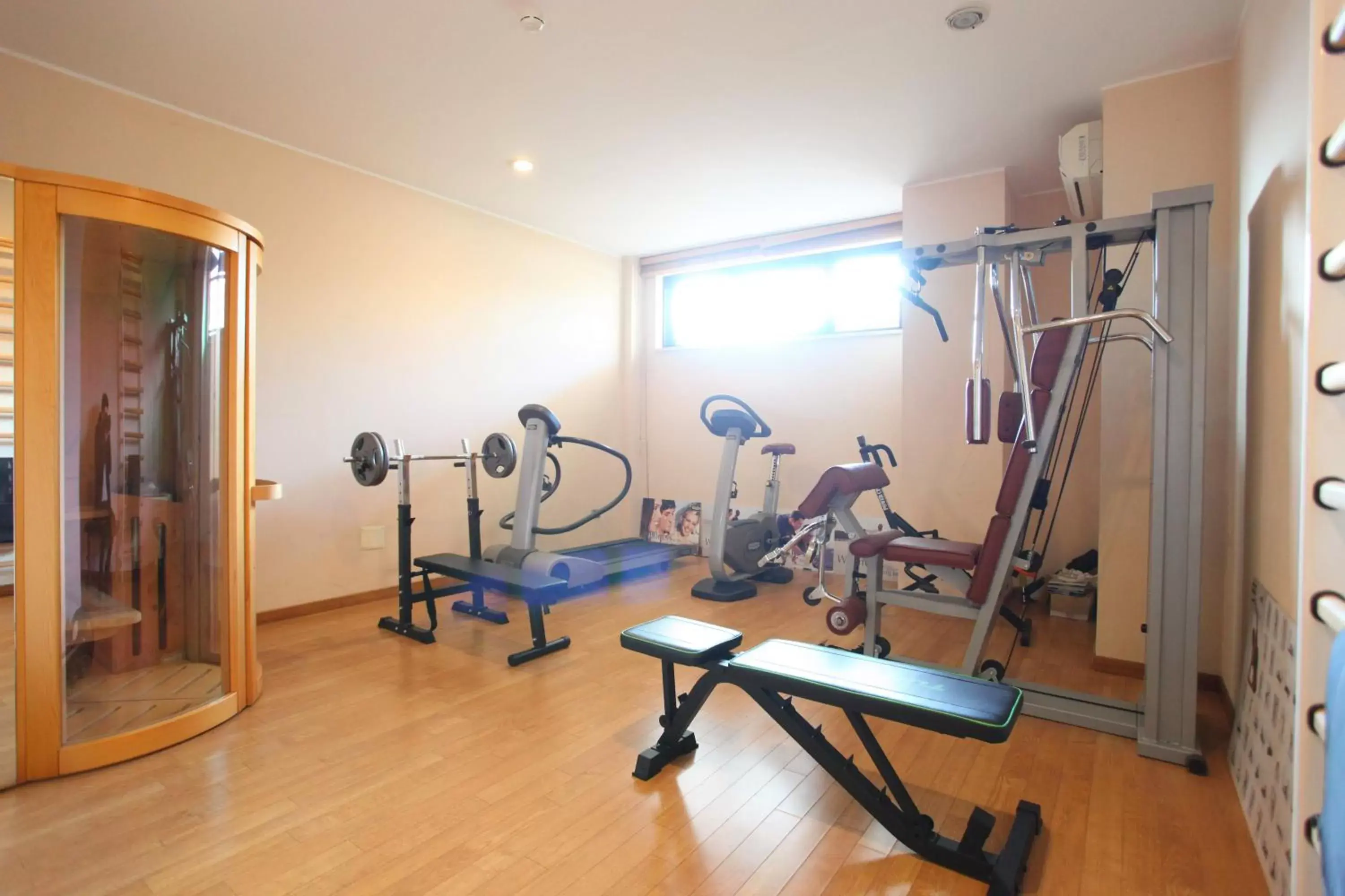 Fitness centre/facilities, Fitness Center/Facilities in Altea Suites