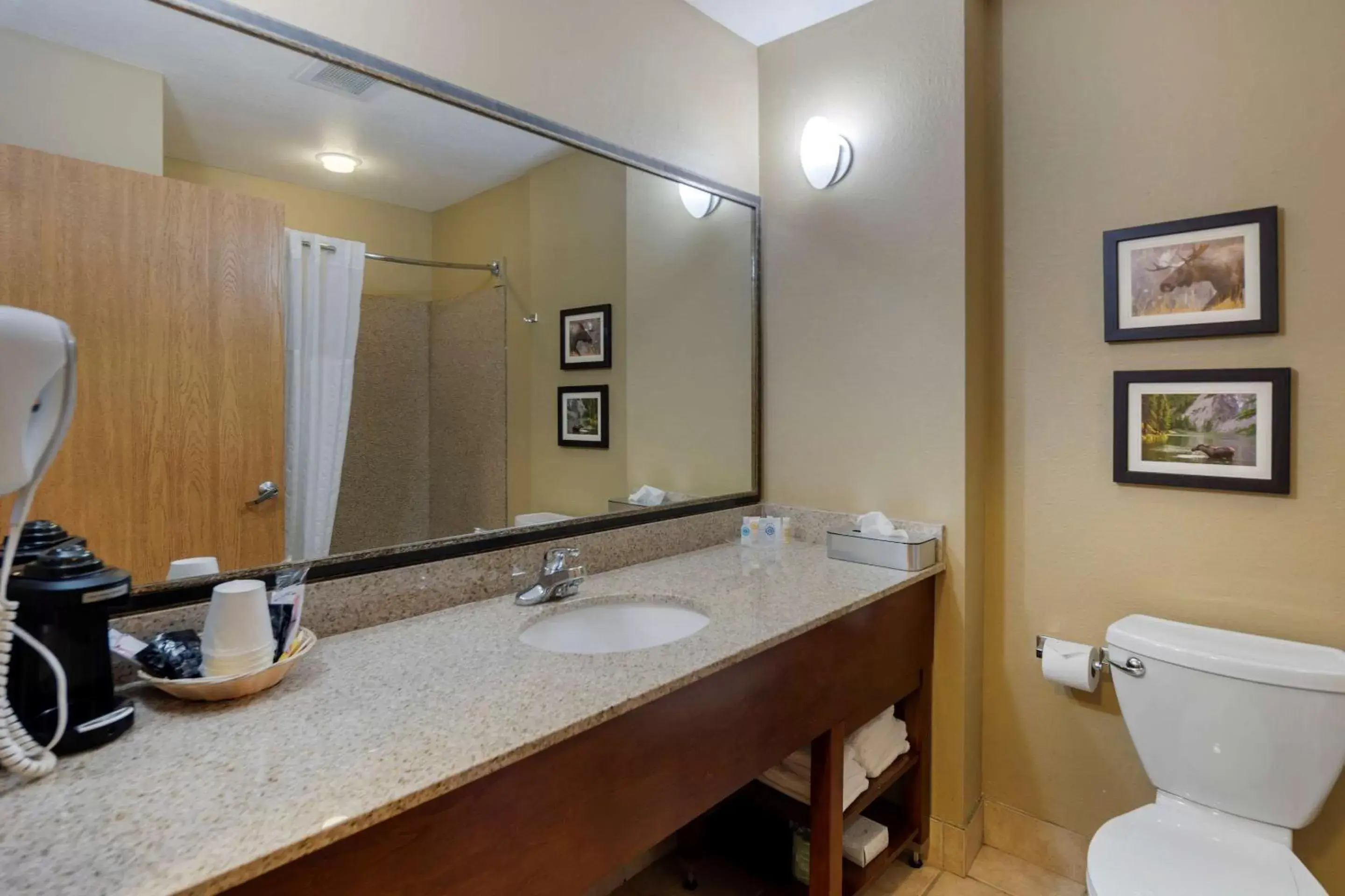 Photo of the whole room, Bathroom in Comfort Suites Anchorage International Airport