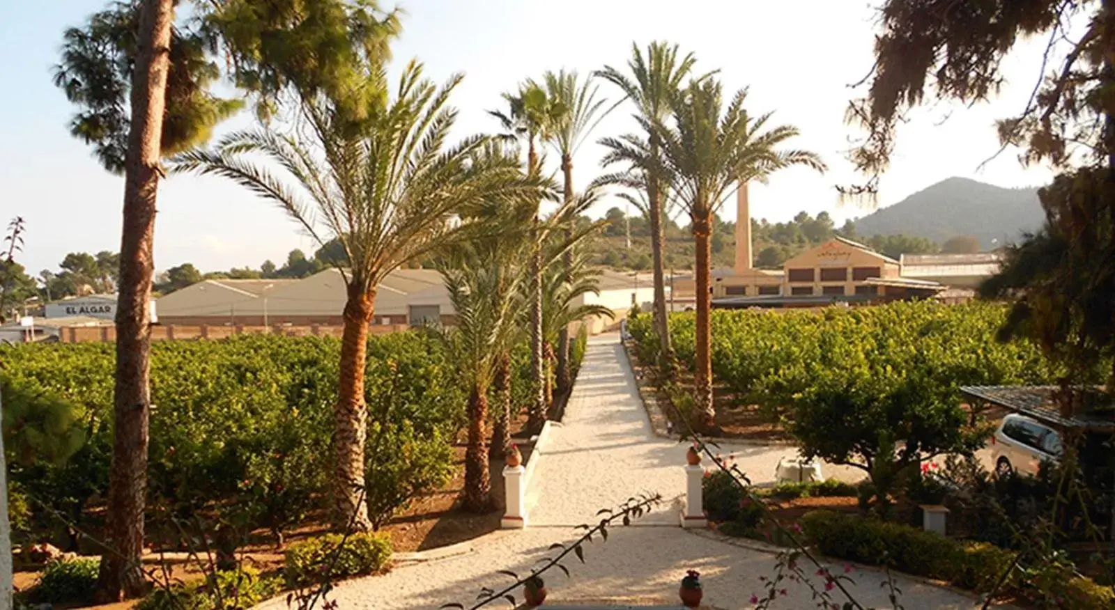 Garden in El Sequer Casa Rural