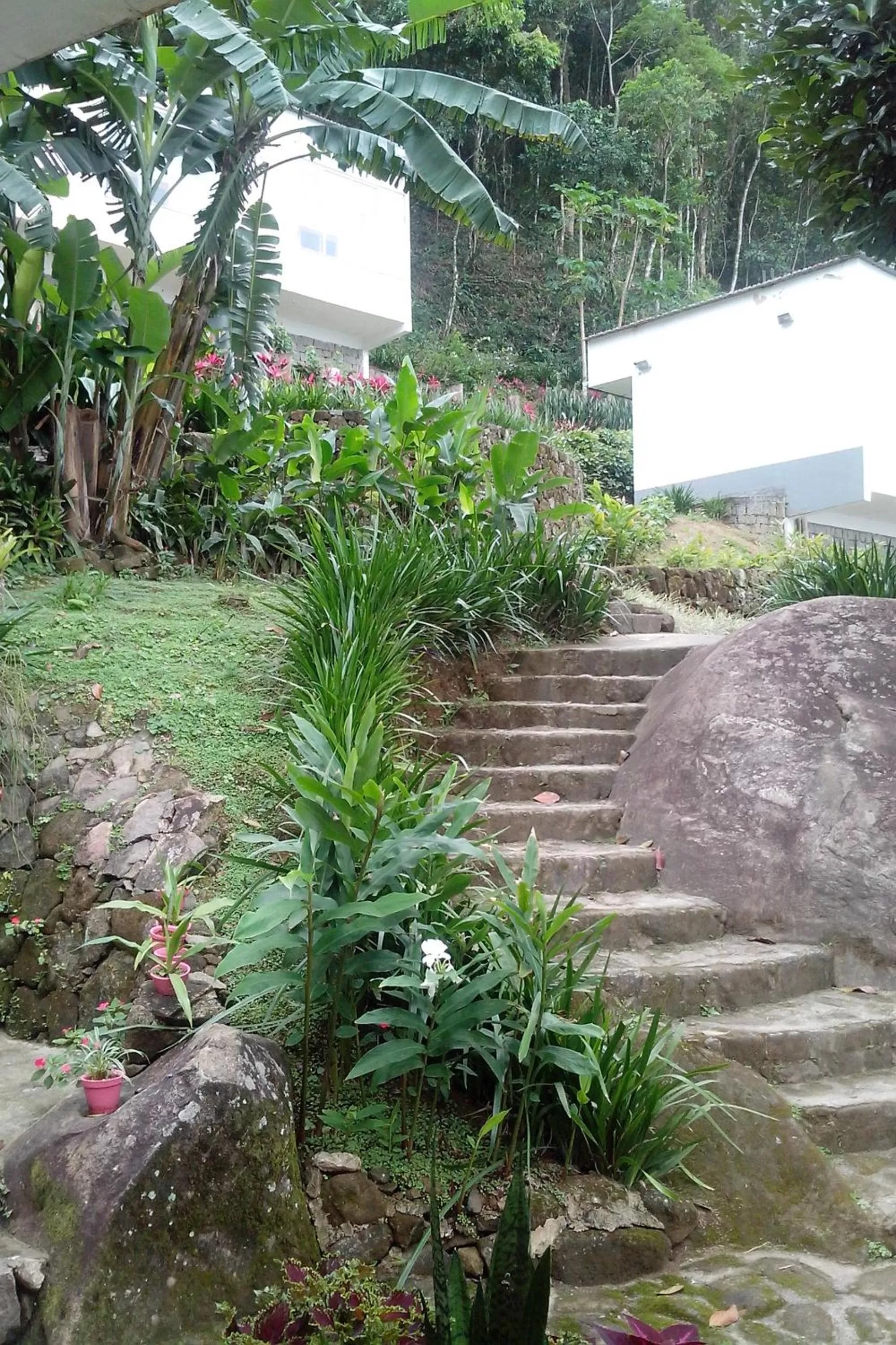 Area and facilities in Pousada Piquara