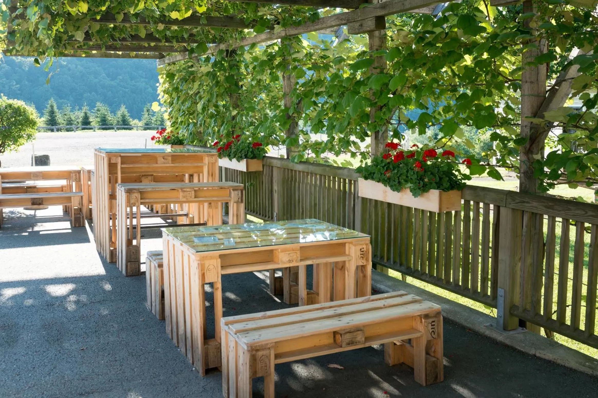 Area and facilities in Schloss Seggau