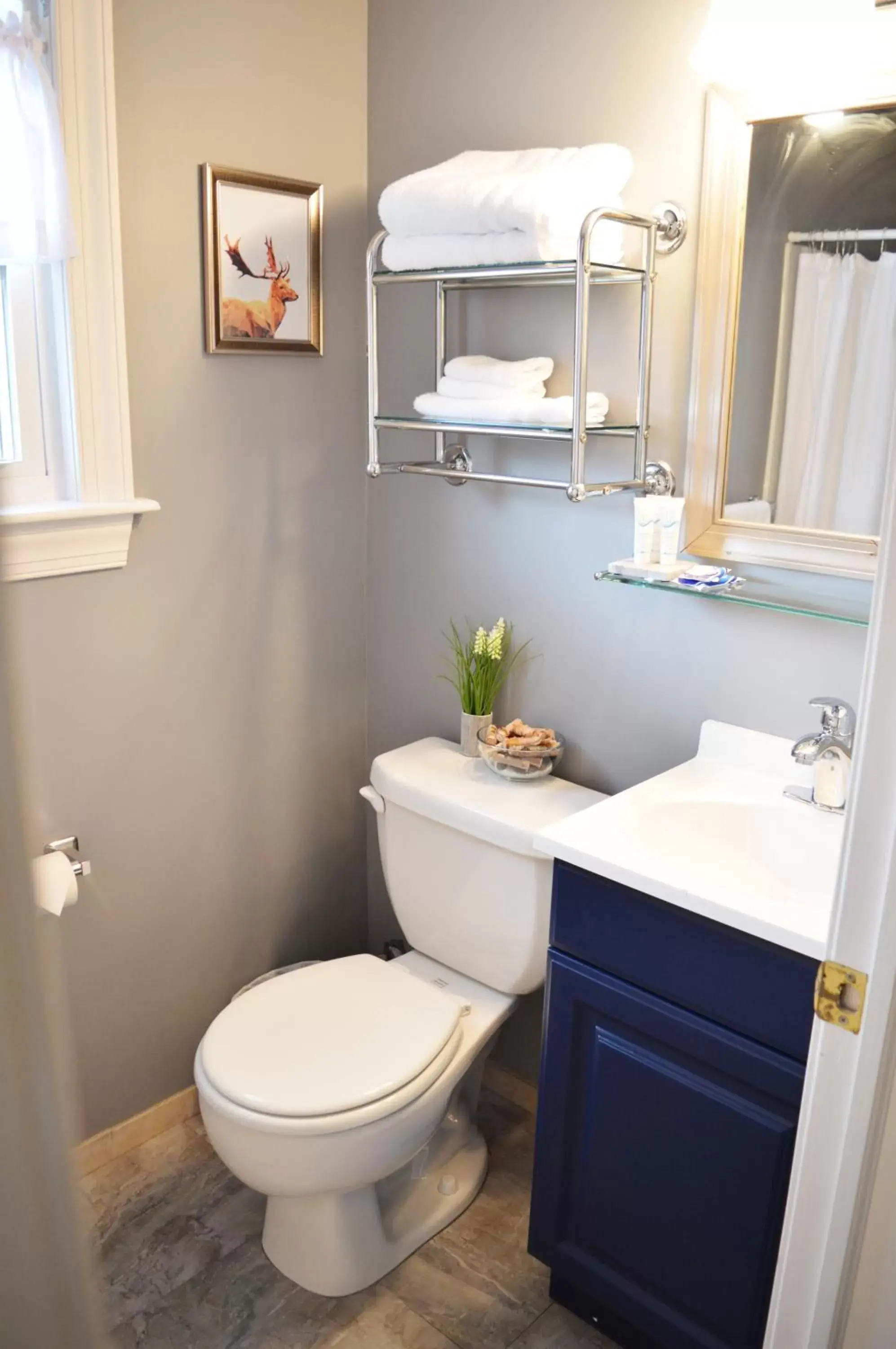 Shower, Bathroom in Mountain View Suites