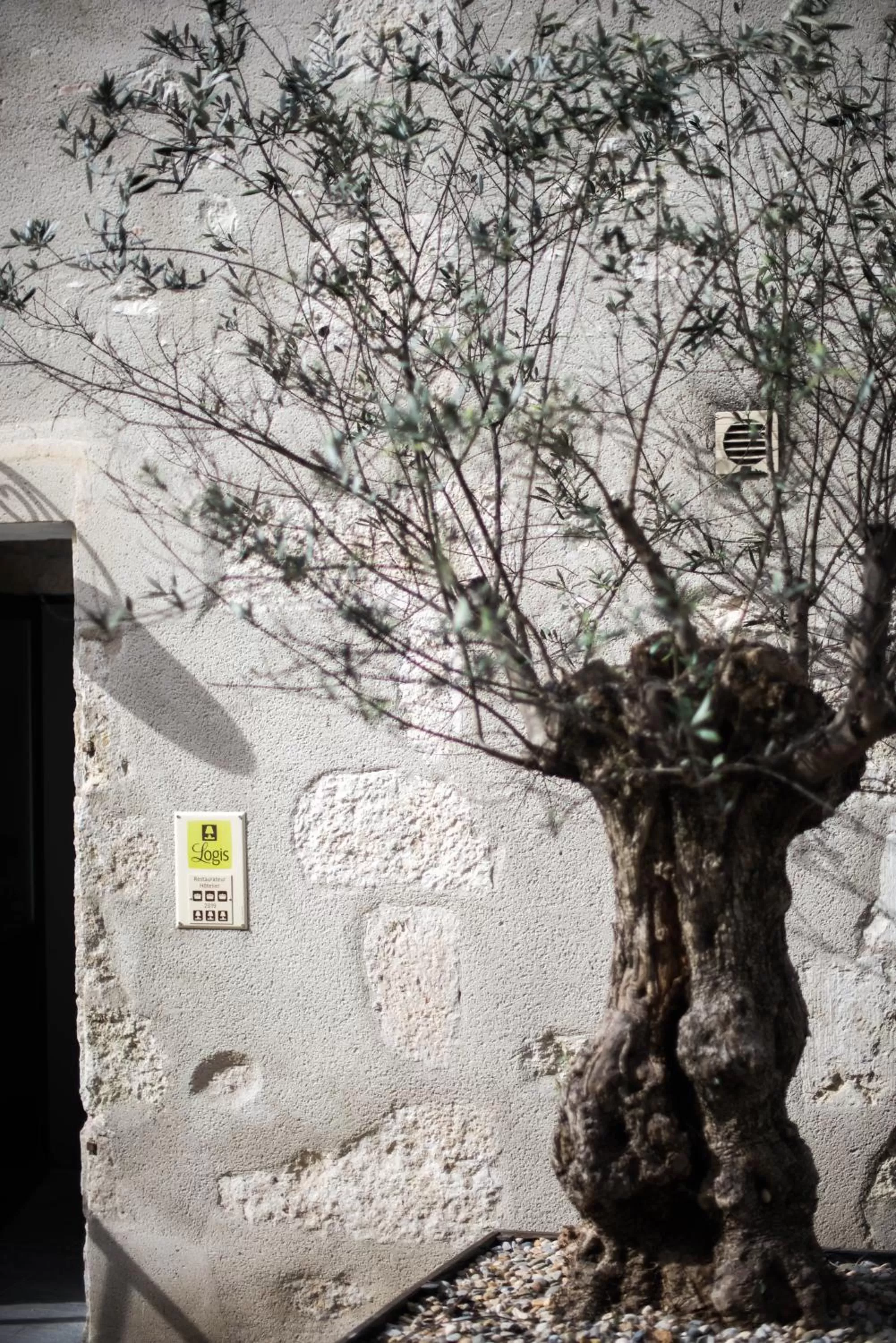 Winter in Logis Hôtel La Bastide des Oliviers