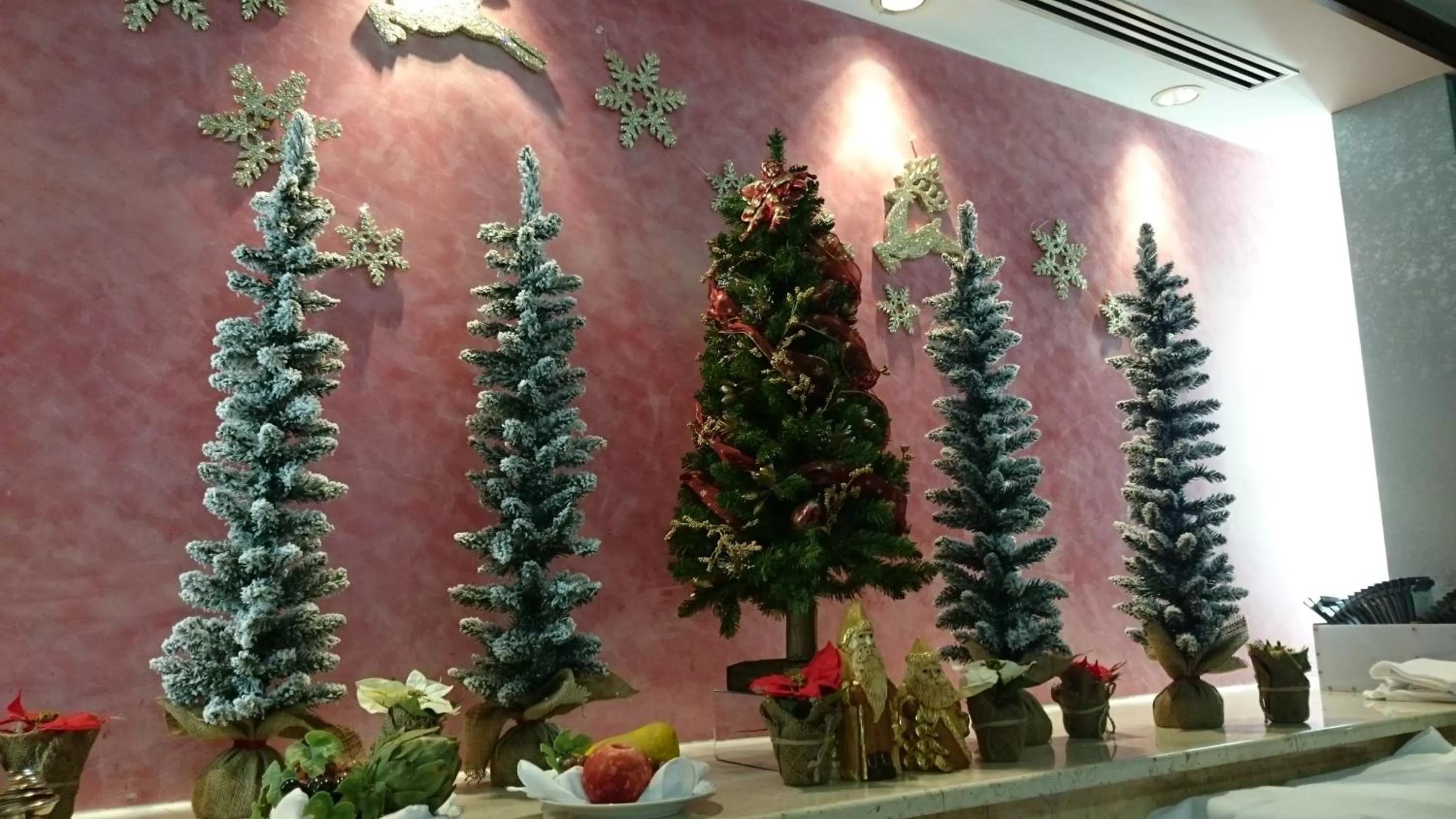 Restaurant/places to eat in Kyoto Garden Palace