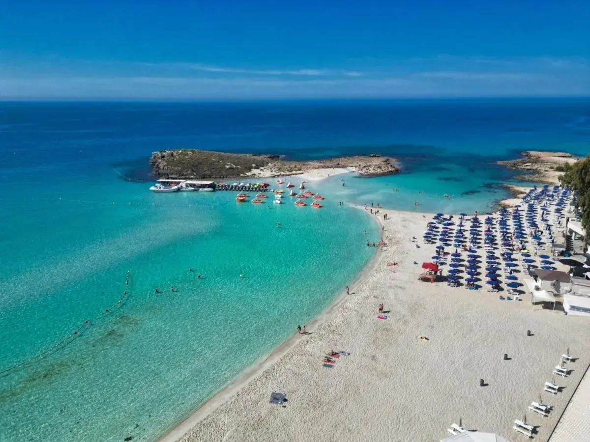 Day, Bird's-eye View in Vassos Nissi Plage Hotel & Spa