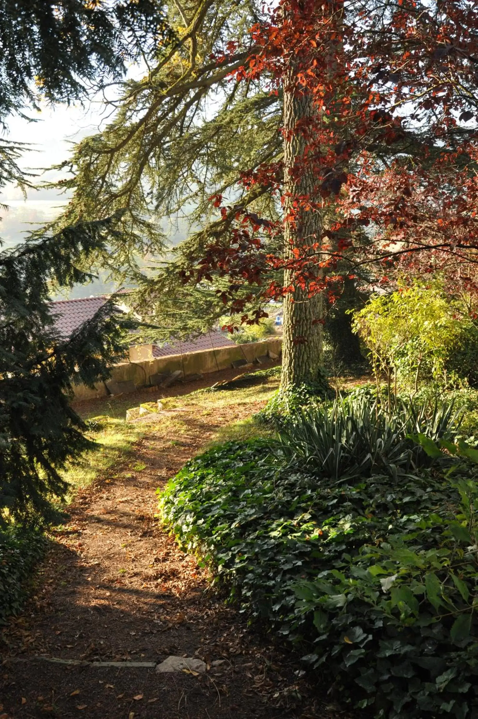 Garden in Les Jardins de l'Hacienda