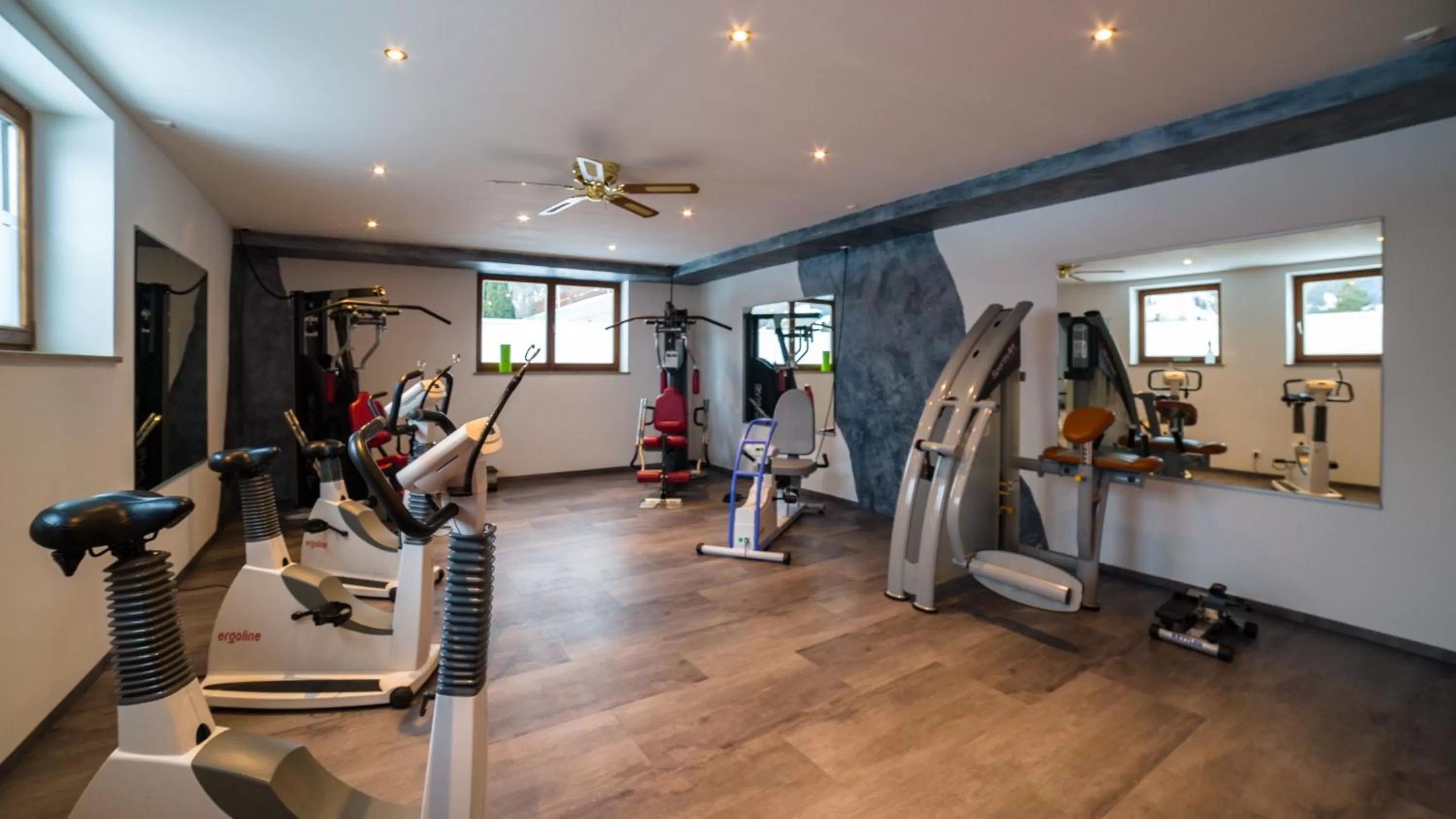 Fitness centre/facilities in Parkhotel Sonnenhof