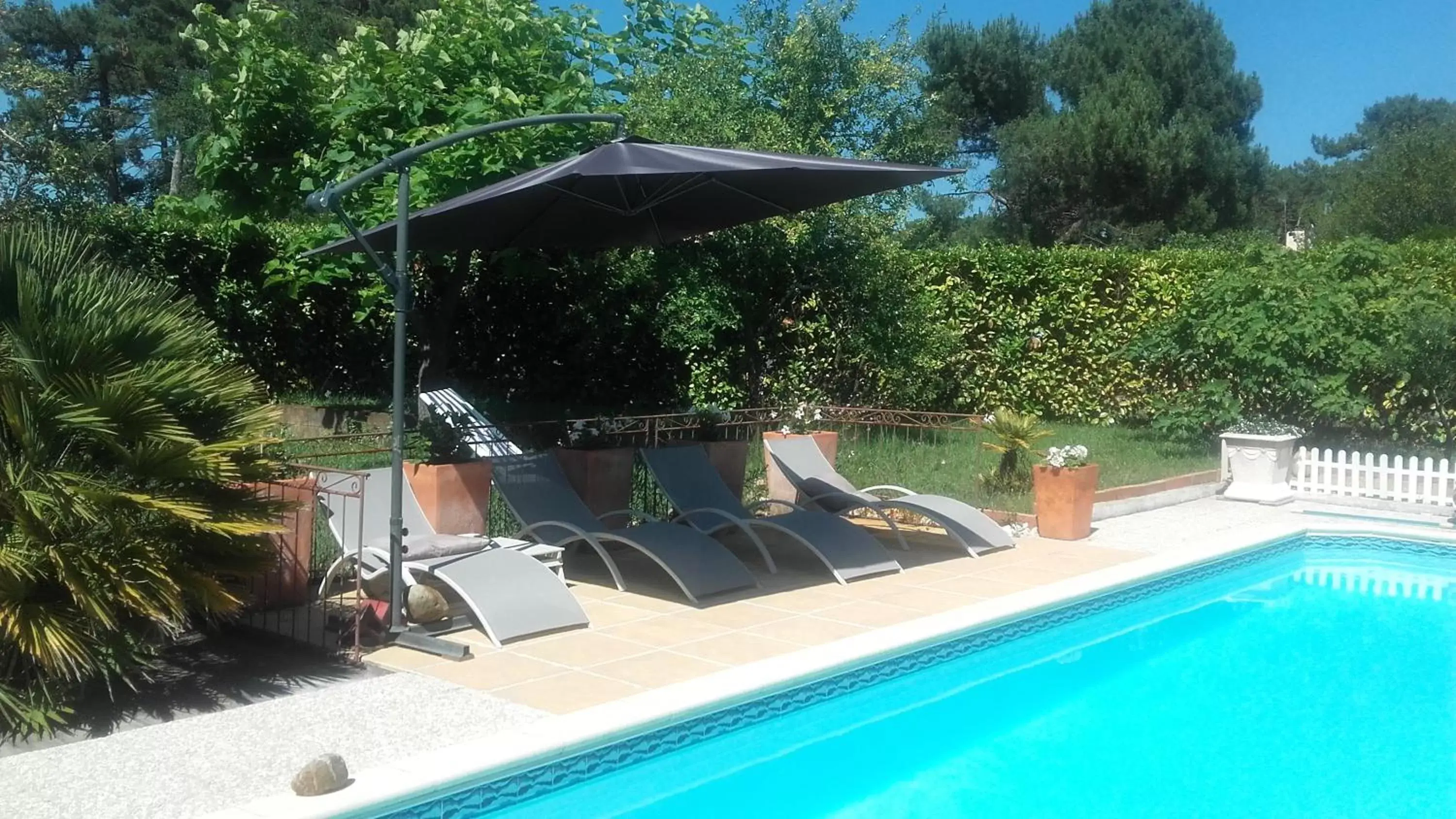 Garden, Swimming Pool in Chambres d'Hotes des Ecureuils