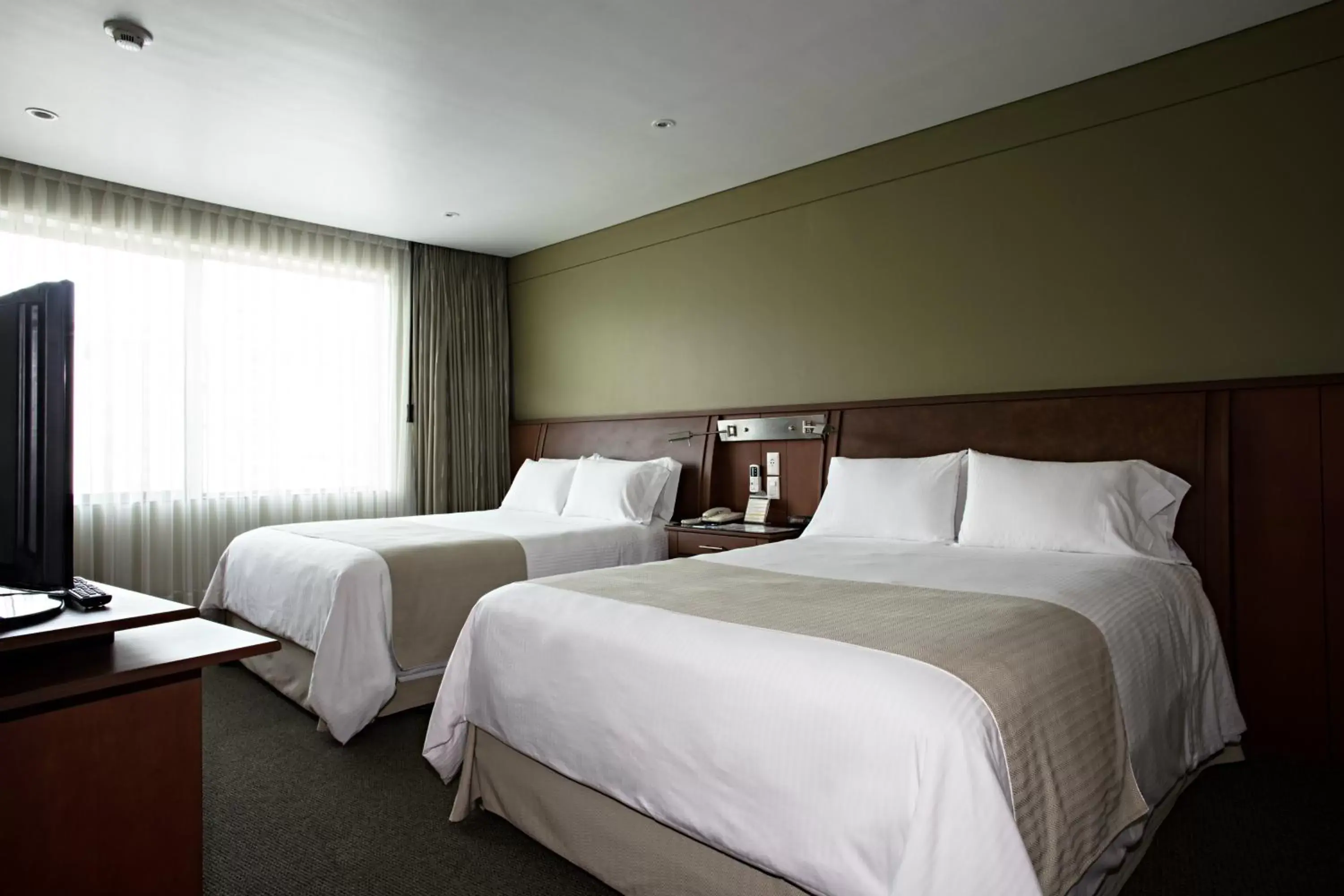 Family Suite in Suites Camino Real Family Suite in Suites Camino Real