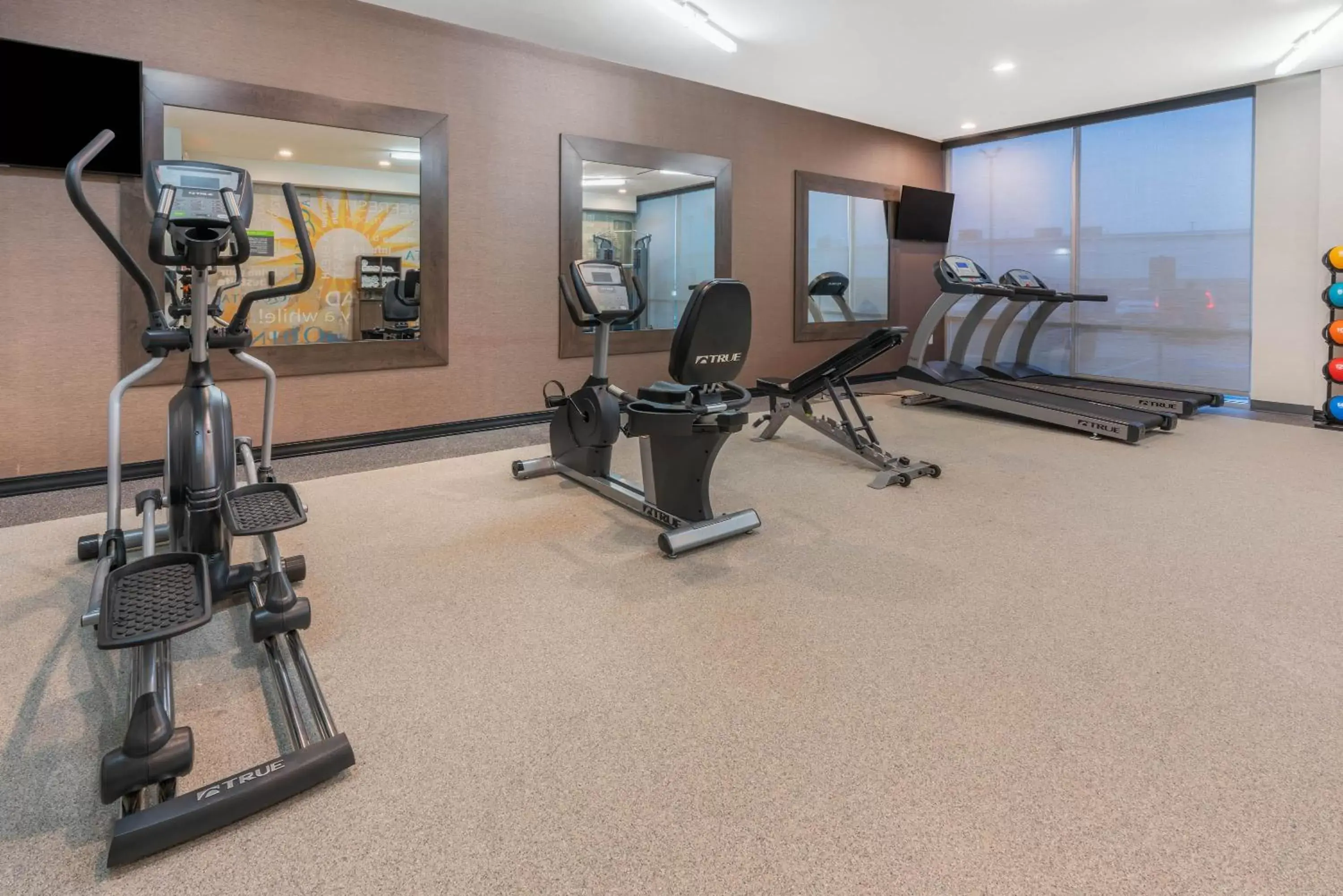 Fitness centre/facilities, Fitness Center/Facilities in La Quinta Inn and Suites by Wyndham Houston Spring South