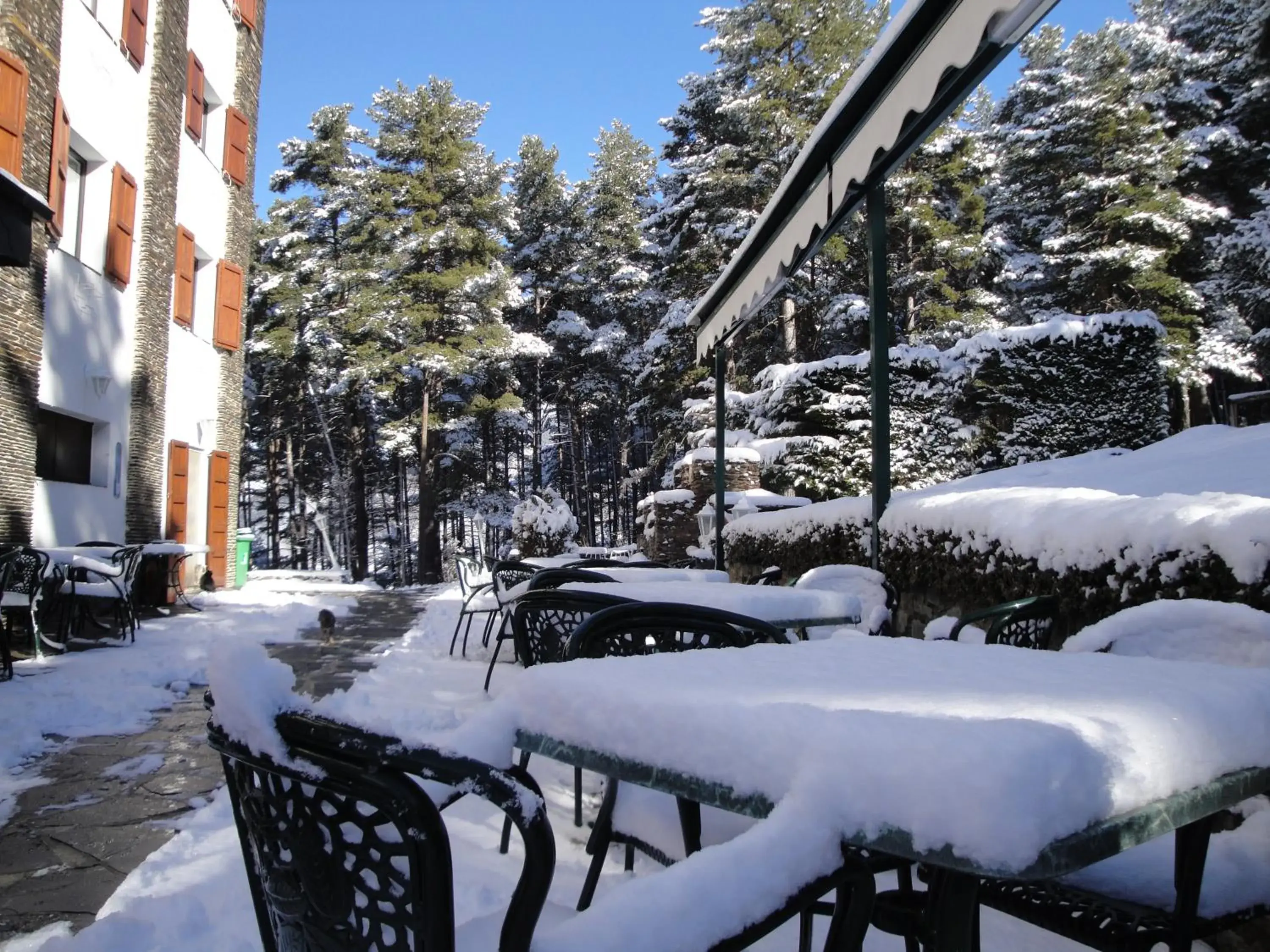 Area and facilities, Winter in Coma Bella