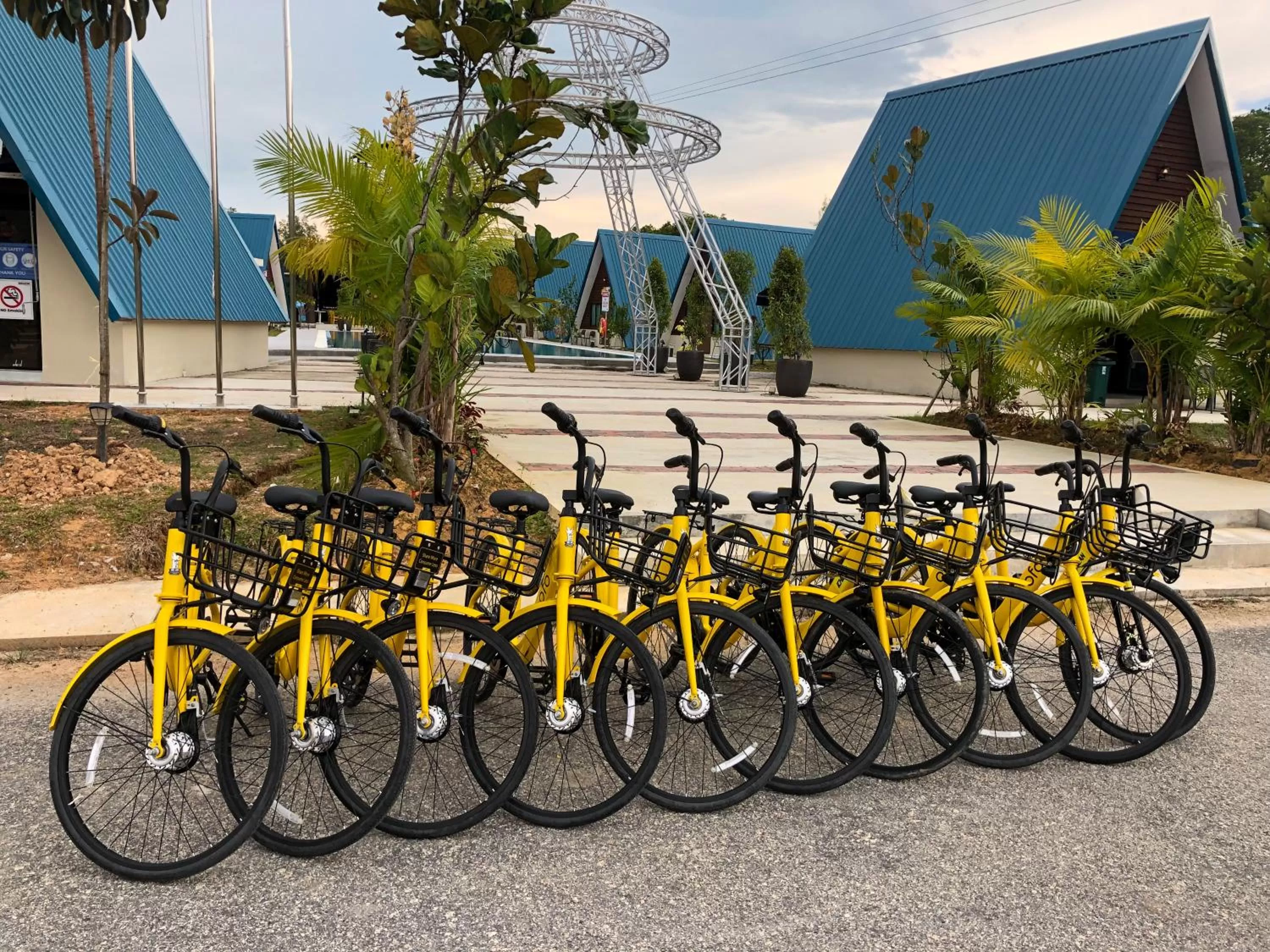 Activities in SENTA Adventure Camp & Resort