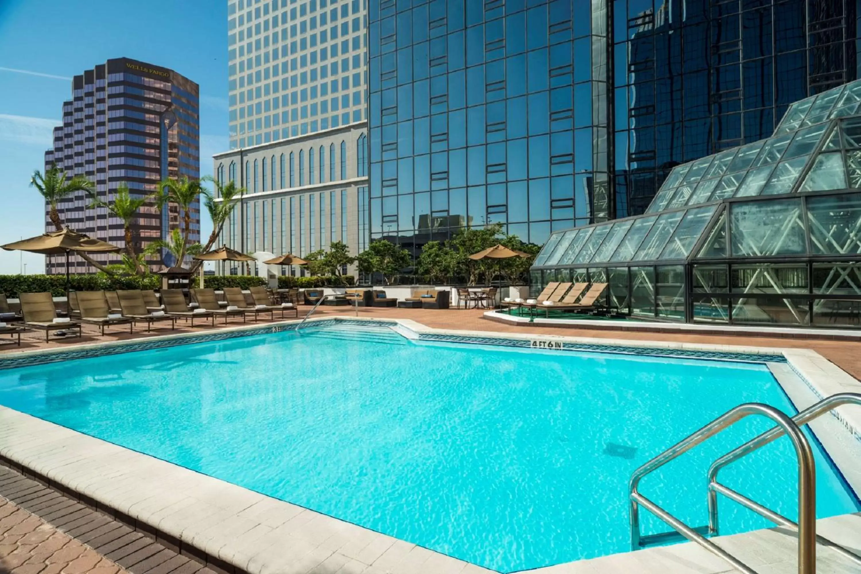 Swimming Pool in Hilton Tampa Downtown