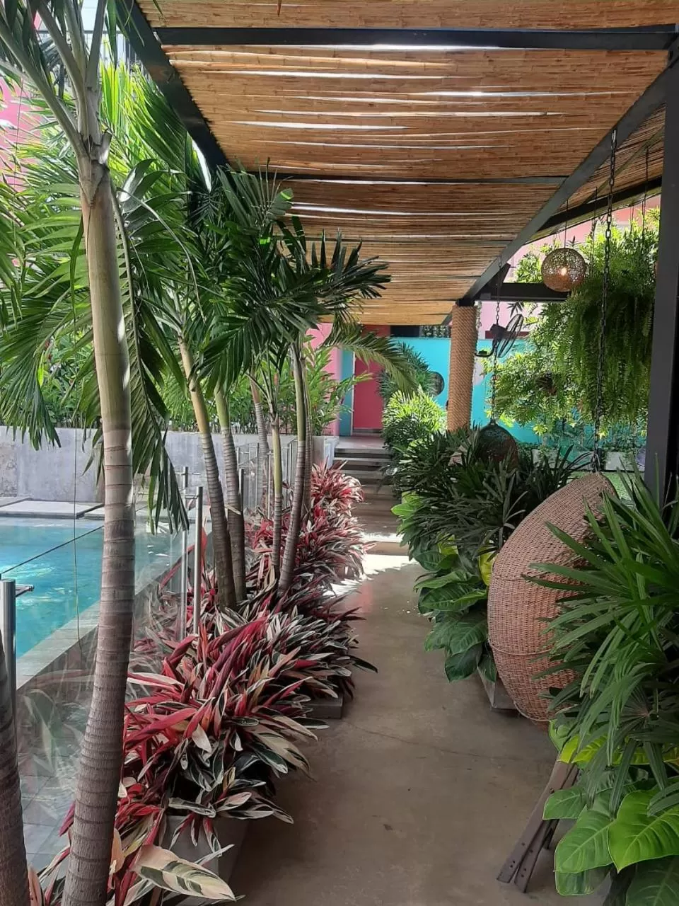 Garden in Rossa Palma