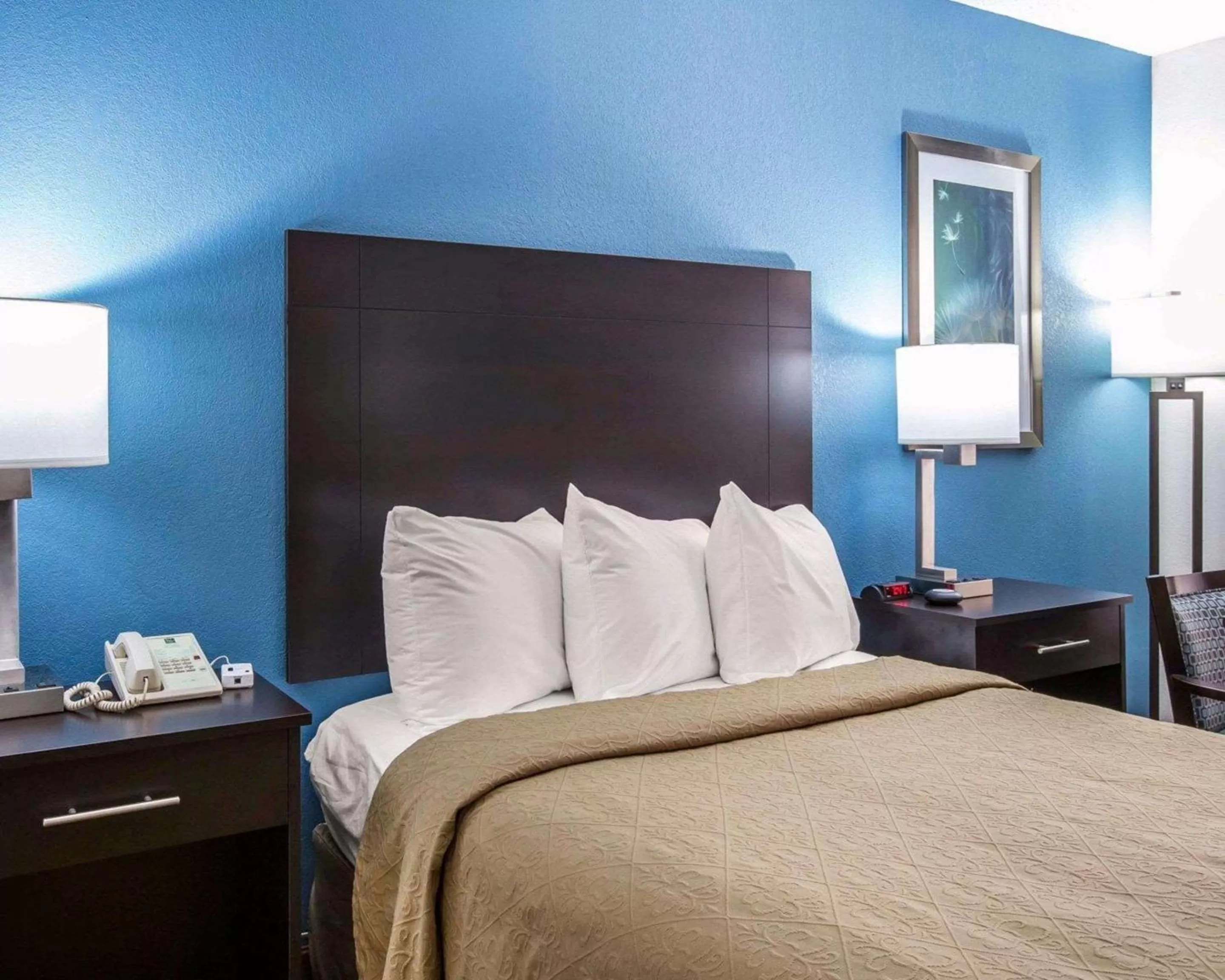 Photo of the whole room, Bed in Quality Inn Macon West