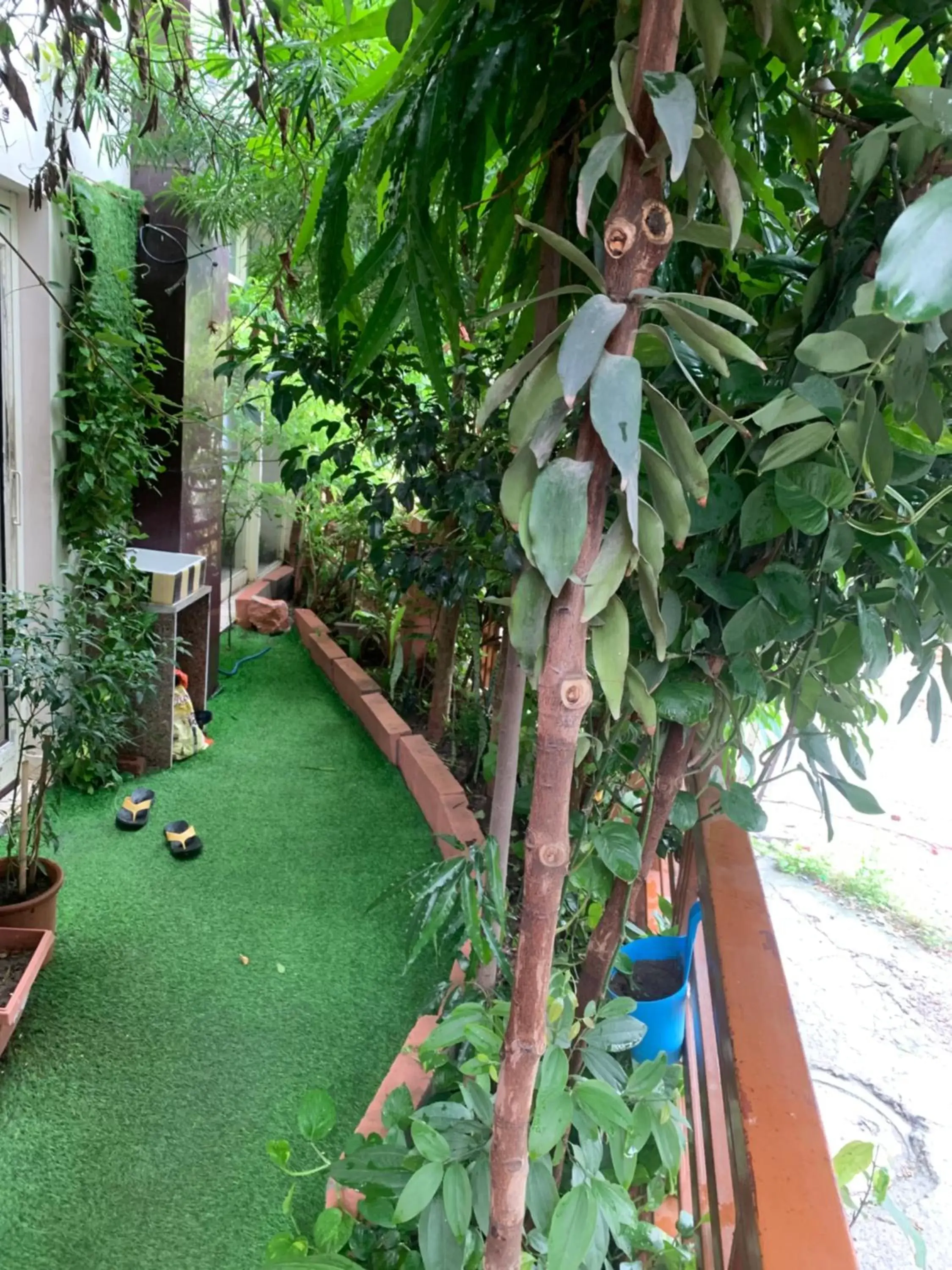 Garden view in Rudram Hotel Yoga & Ayurveda Retreat Garden view in Rudram Hotel Yoga & Ayurveda Retreat