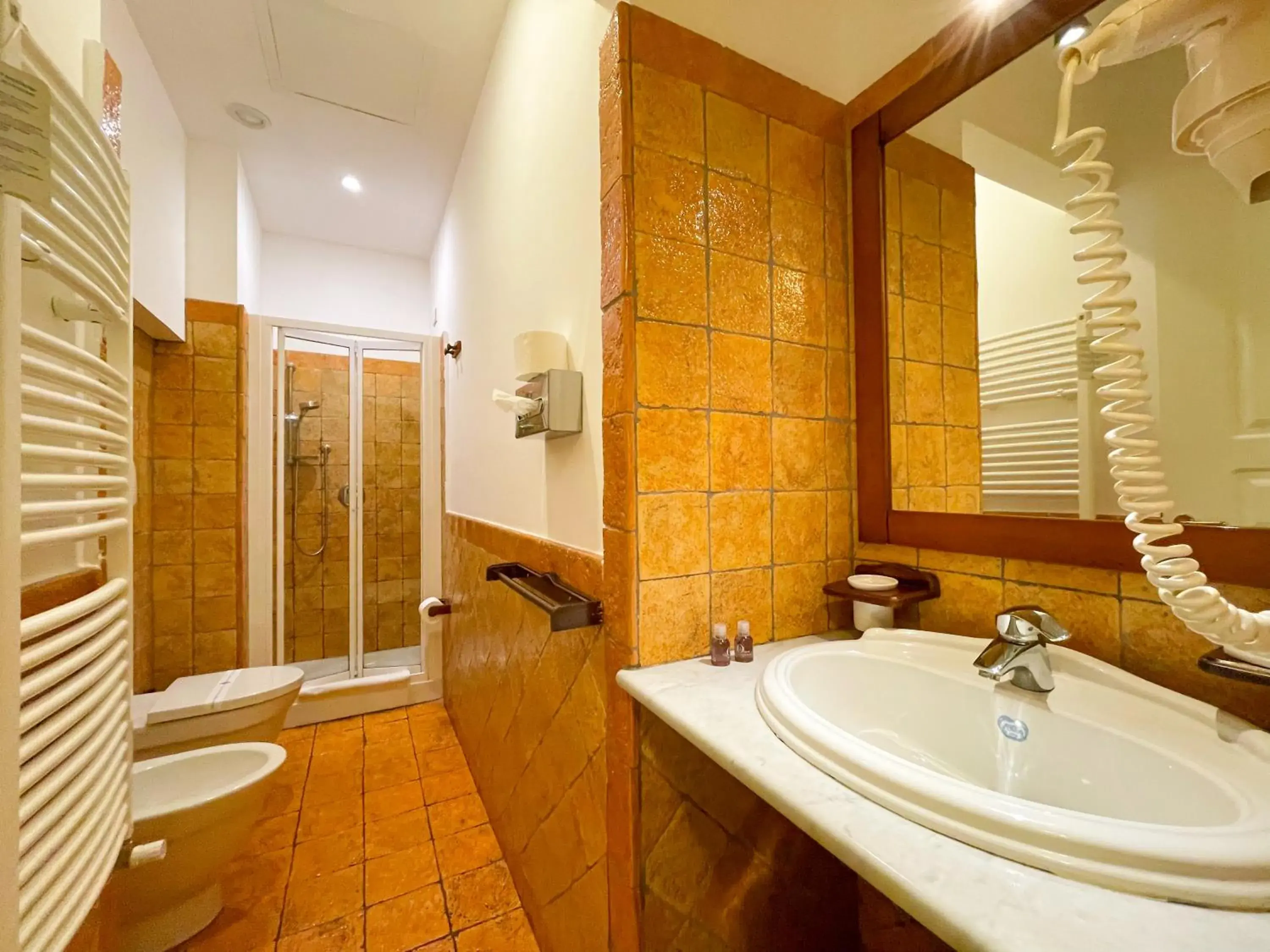 Toilet, Bathroom in Hotel La Plumeria