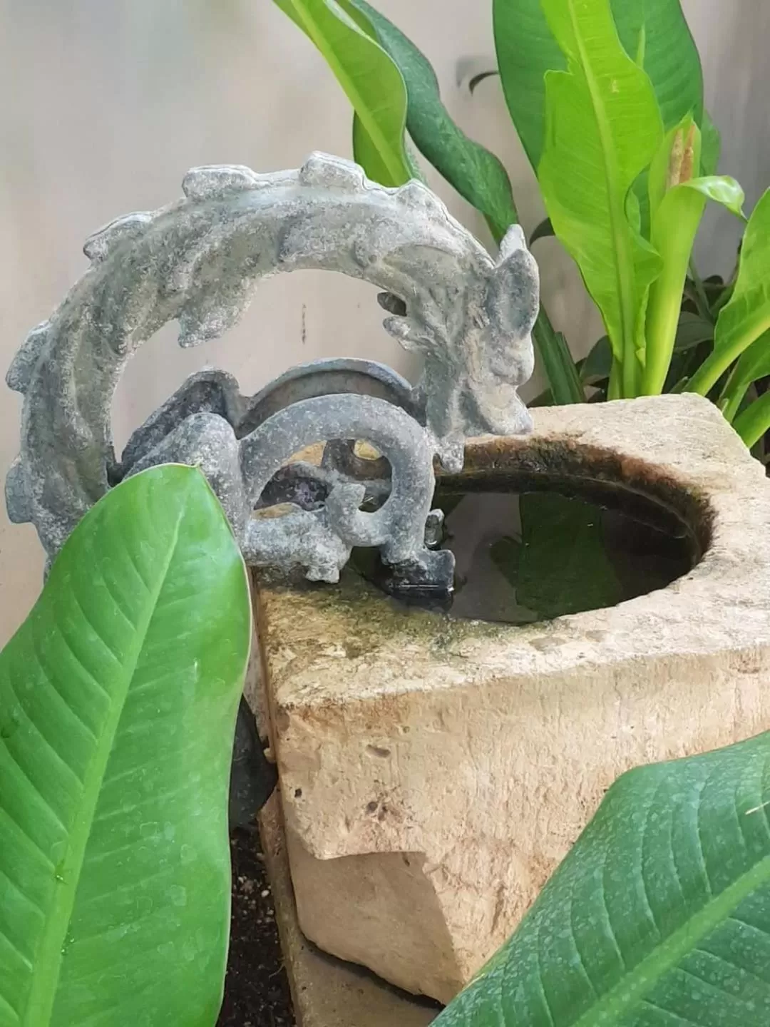 Garden in Künük Hotel Boutique