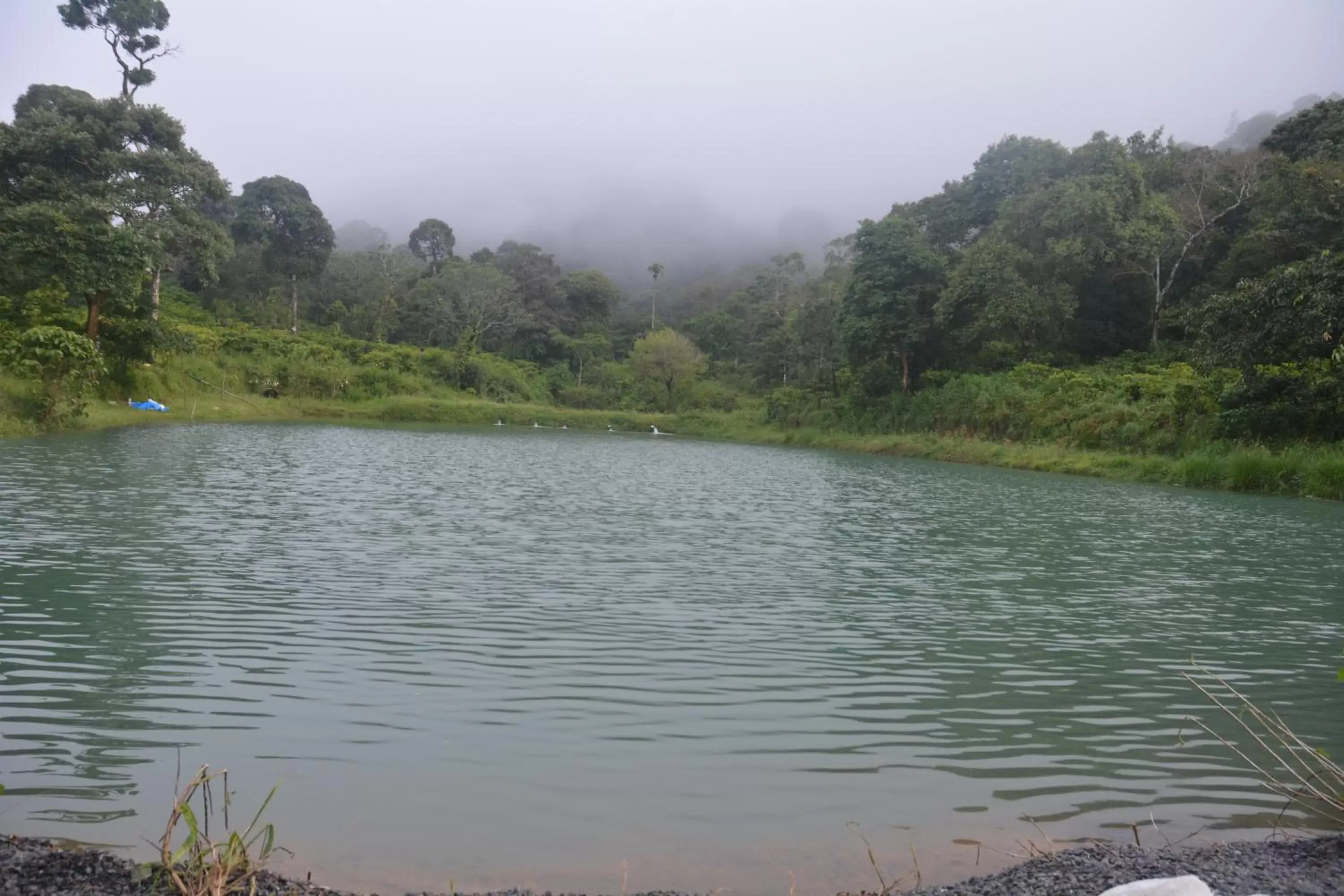 Lake view in Magnolia Estates & Resorts Lake view in Magnolia Estates & Resorts