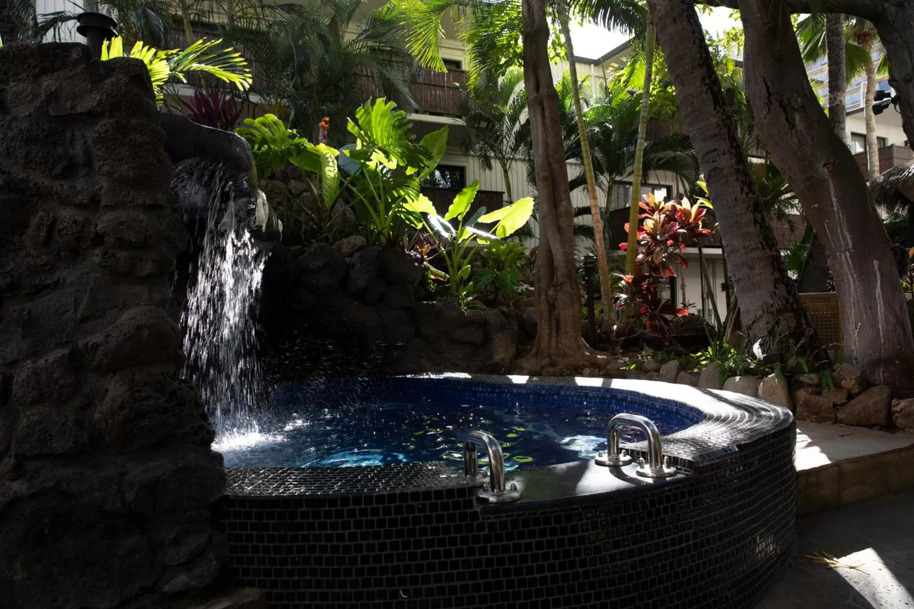 Garden, Swimming Pool in White Sands Hotel