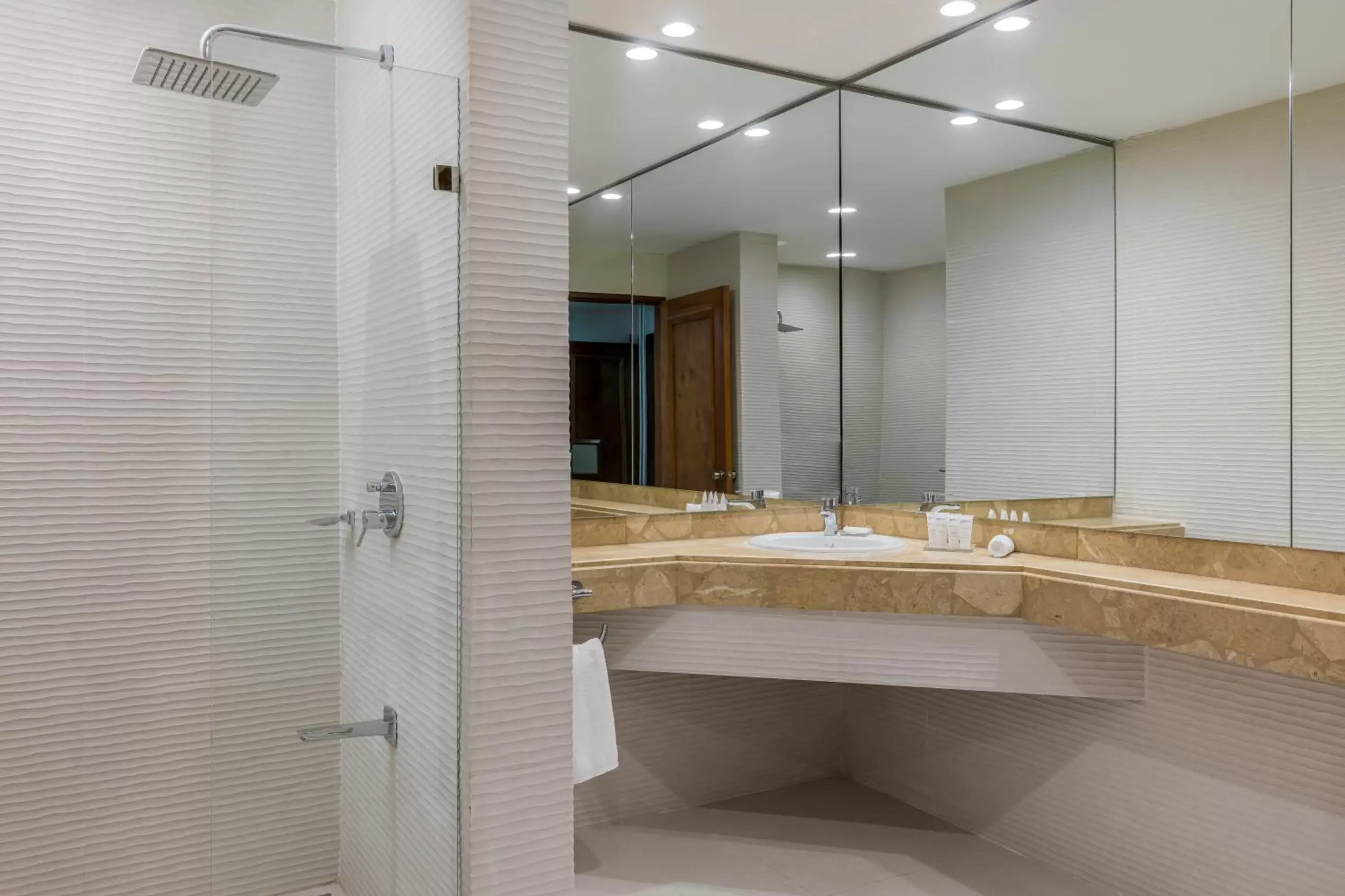 Shower, Bathroom in Radisson Hotel San Jose - Costa Rica