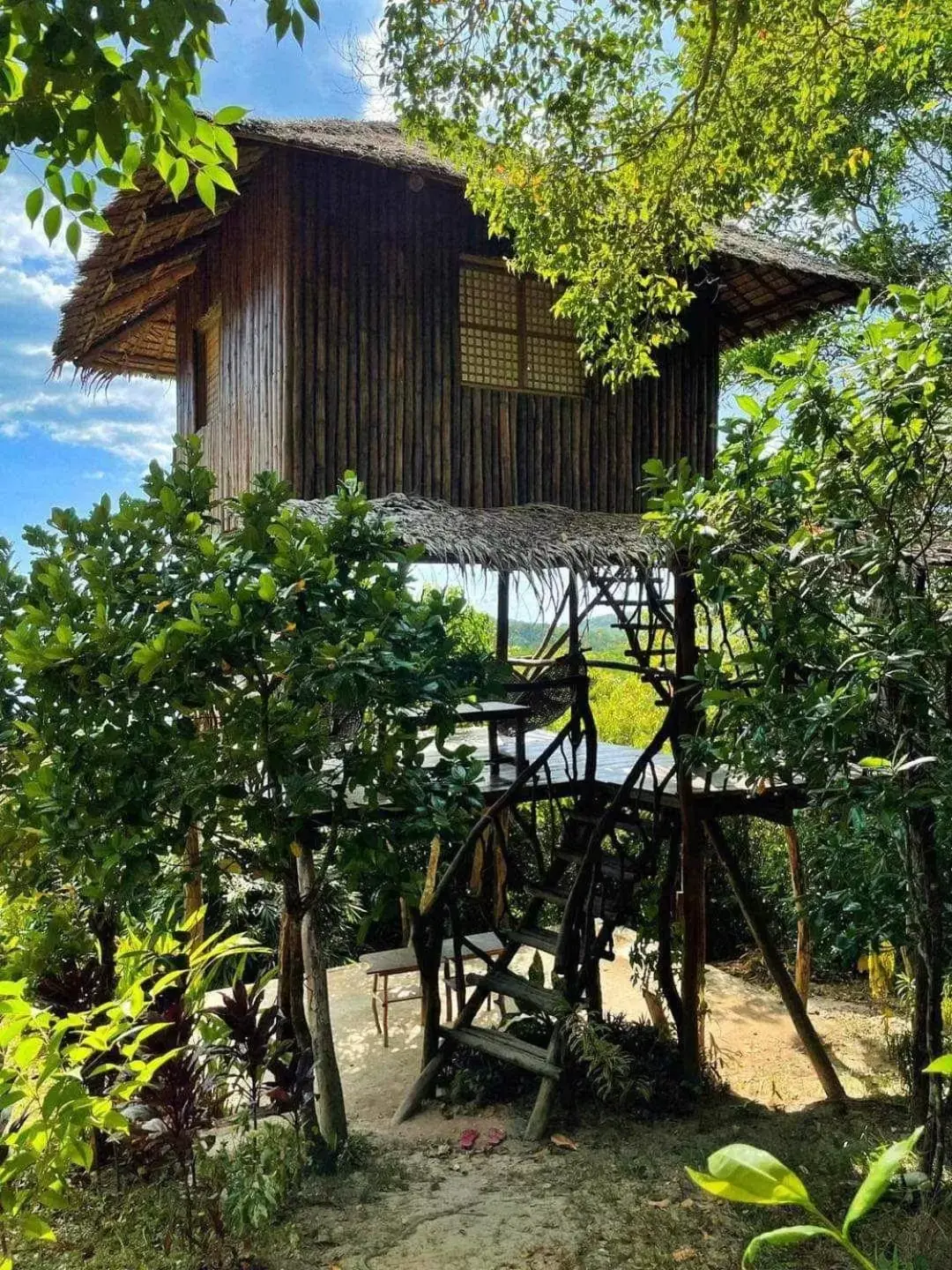 Property Building in Sanctuaria Treehouses Busuanga