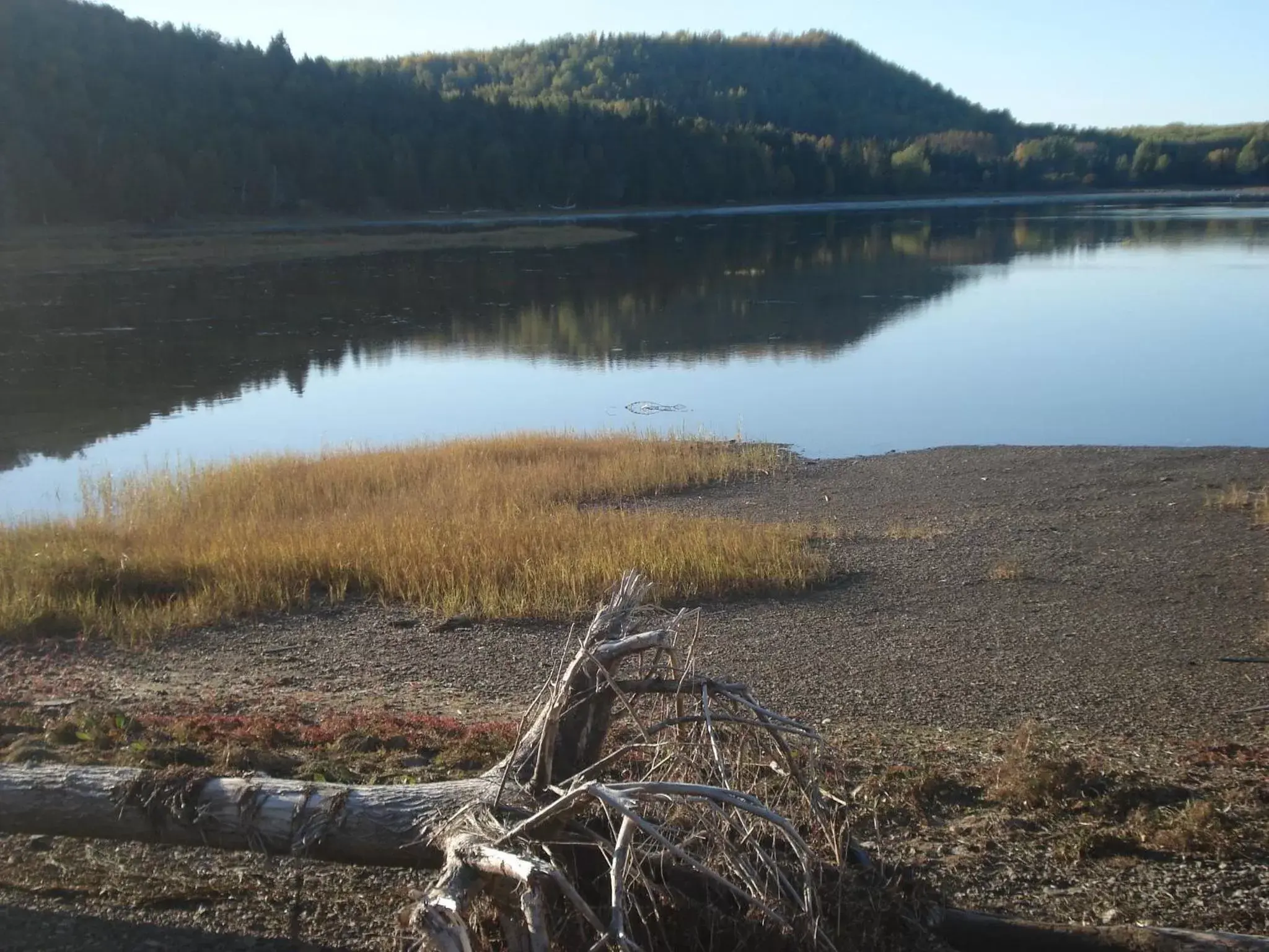 Summer, Lake View in Motel de l'anse