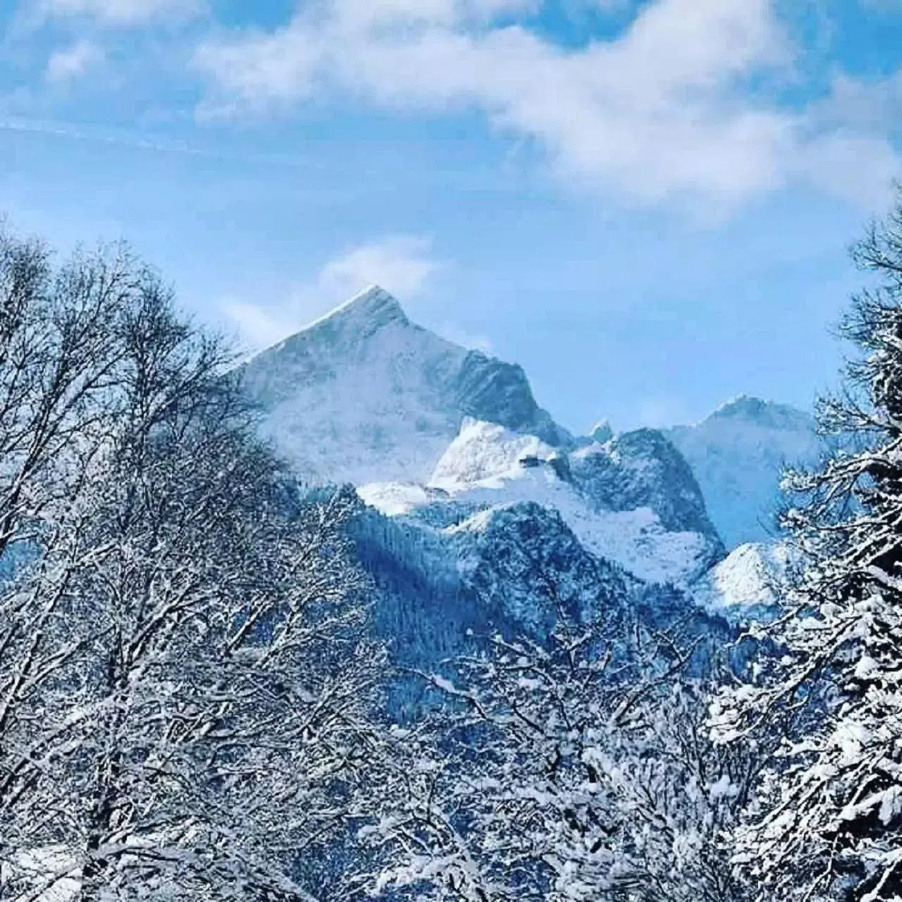 Hiking, Winter in Hotel Garni Brunnthaler