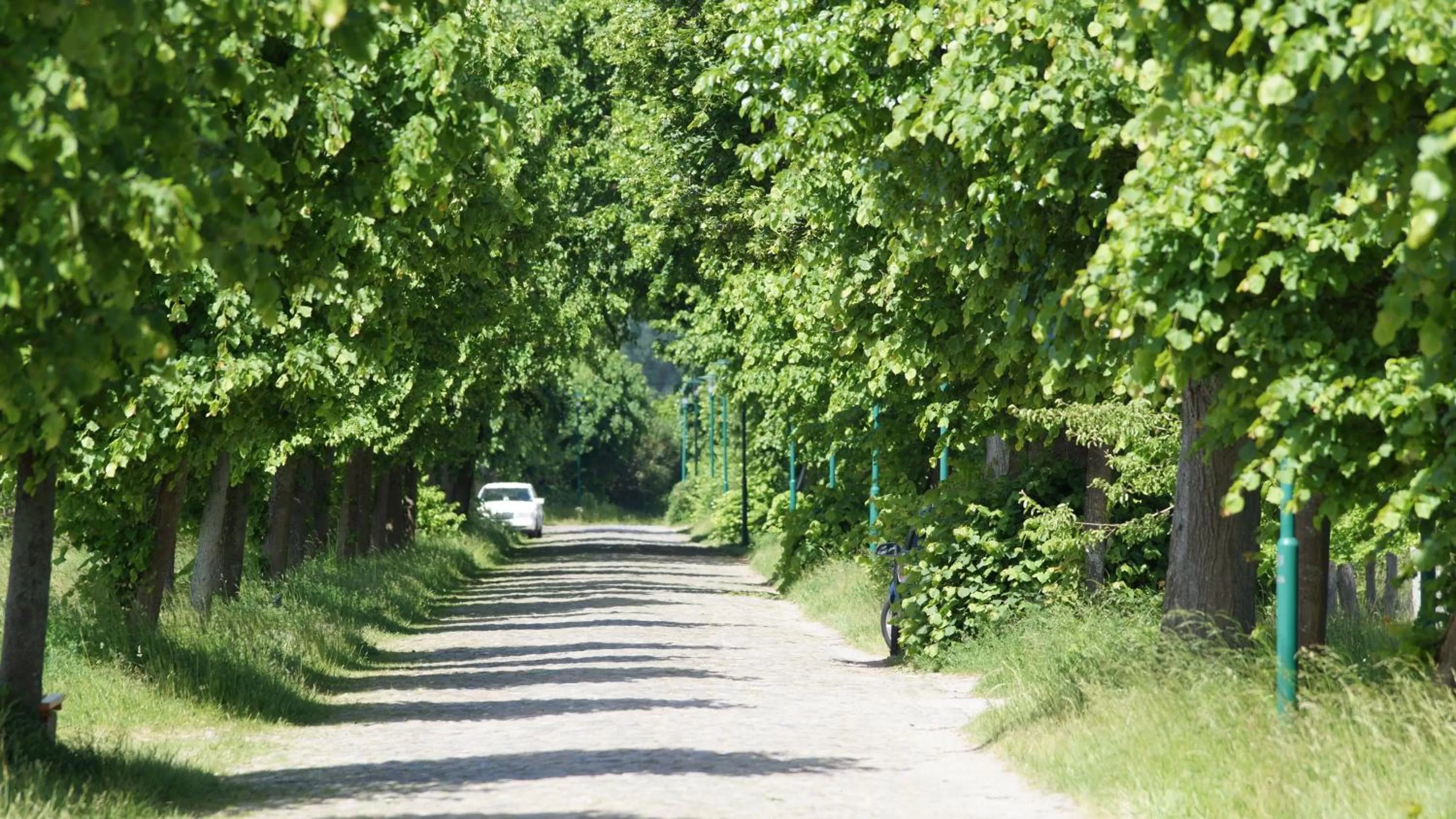 Other in Hotel Am Markt