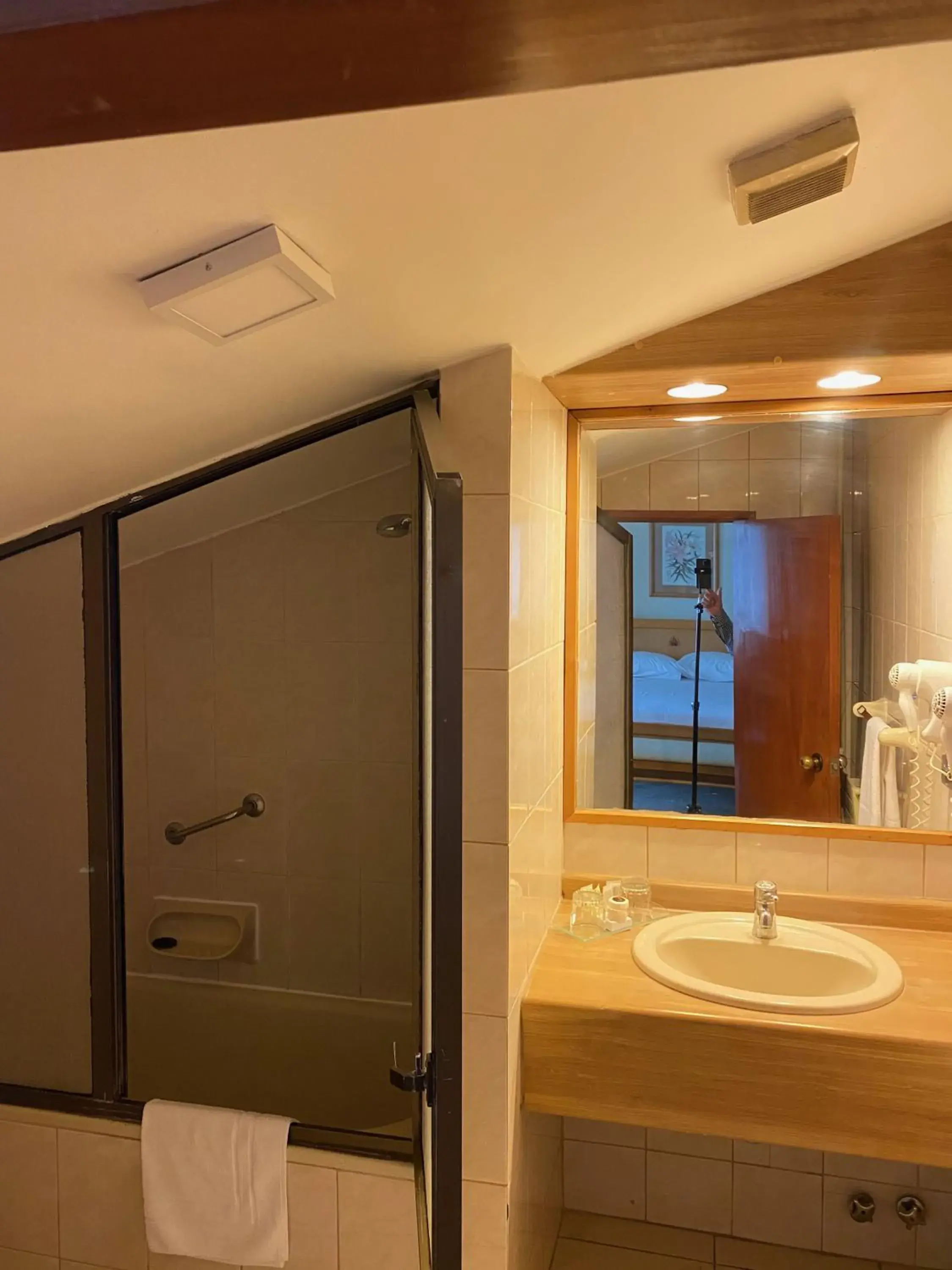 Shower, Bathroom in abba Presidente Suites Puerto Montt