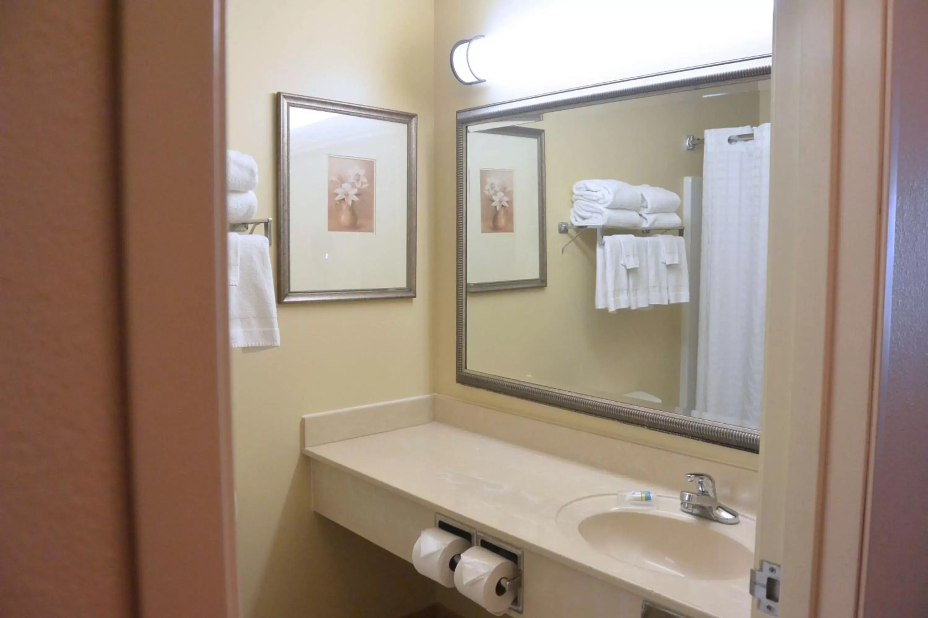 Bathroom in Country Inn & Suites by Radisson, Peoria North, IL