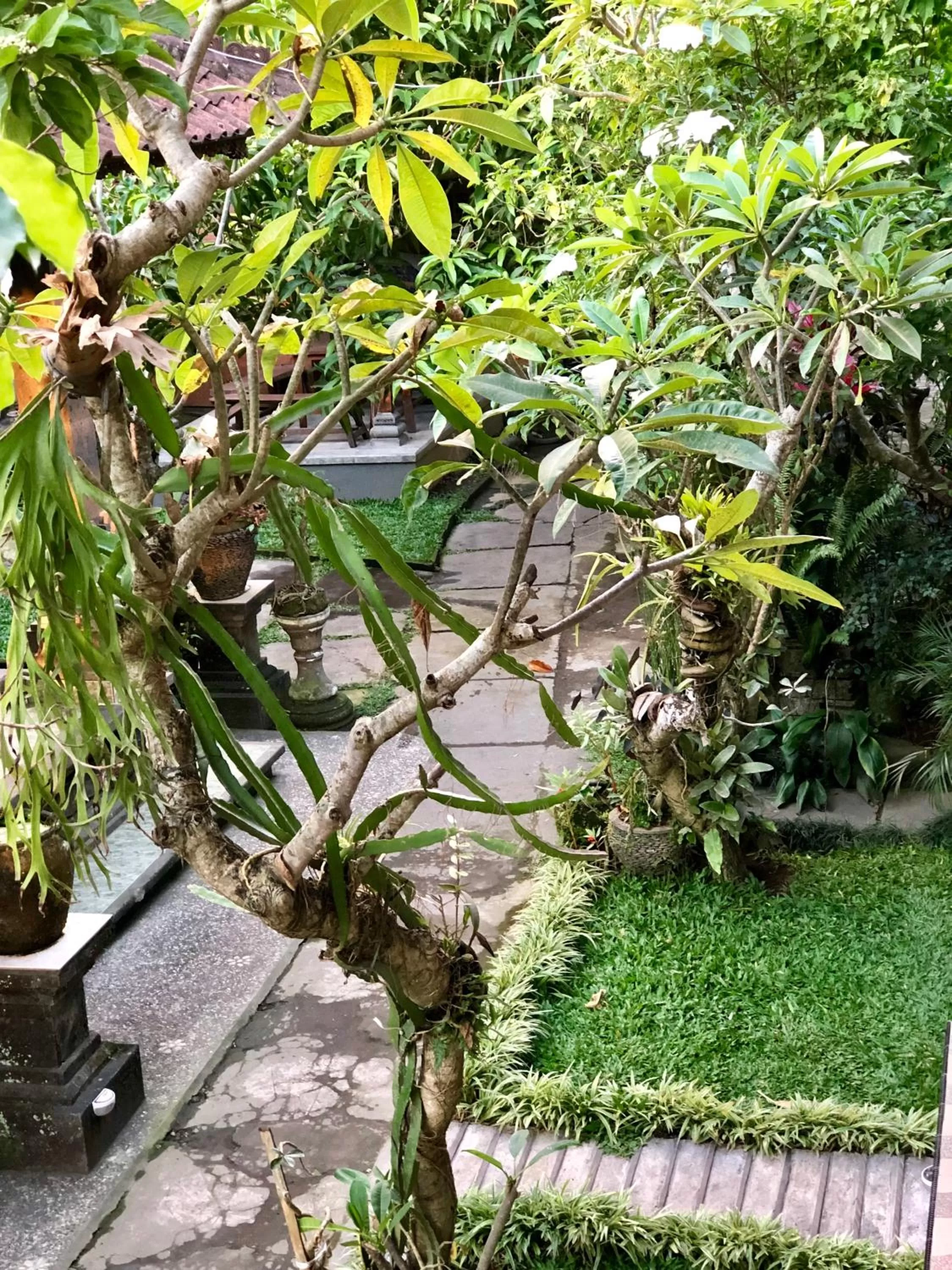 Garden in The Hidden Bali Inn